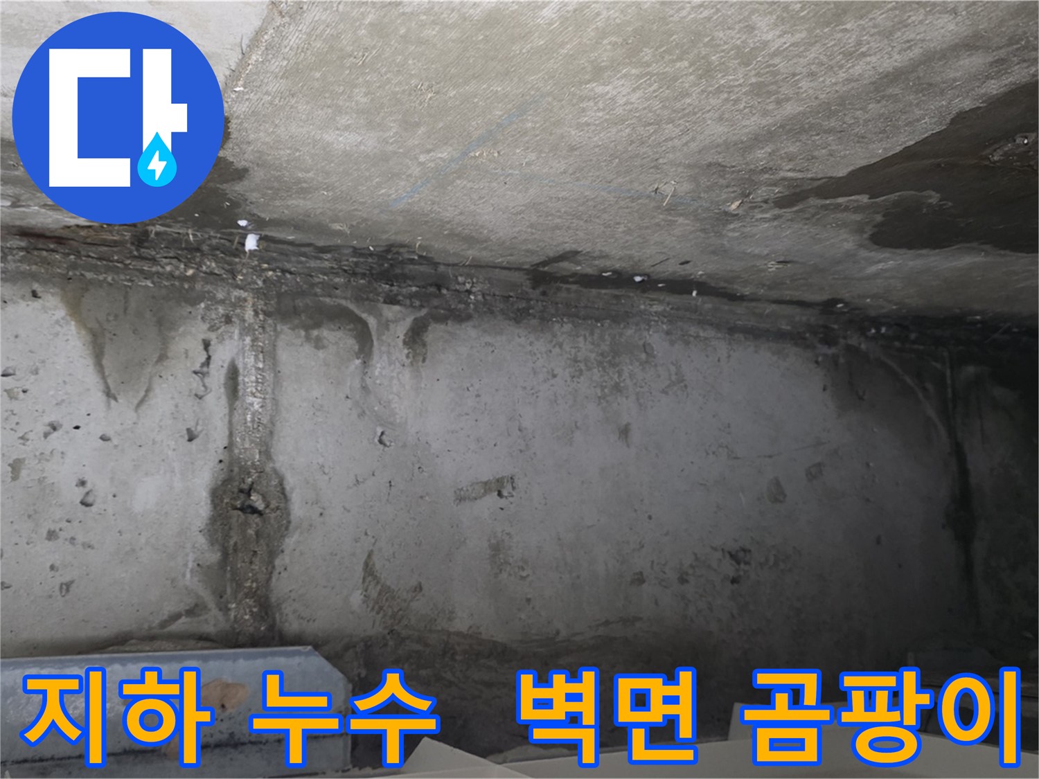 남양주 오남 두산 지하 누수 - 벽면 곰팡이