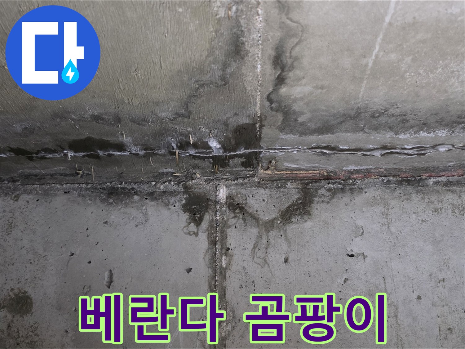 남양주 오남 두산아파트 베란다 누수 - 곰팡이 발생 주의