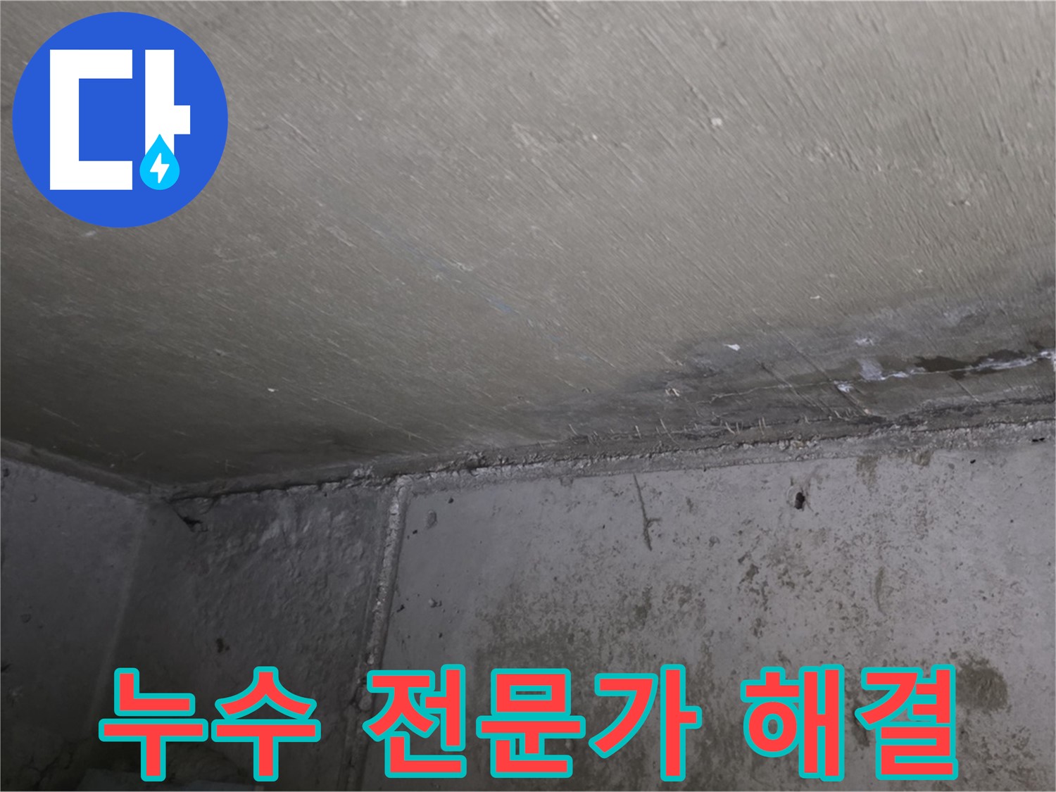 남양주 오남 아파트 벽 누수 곰팡이 - 전문가의 손길