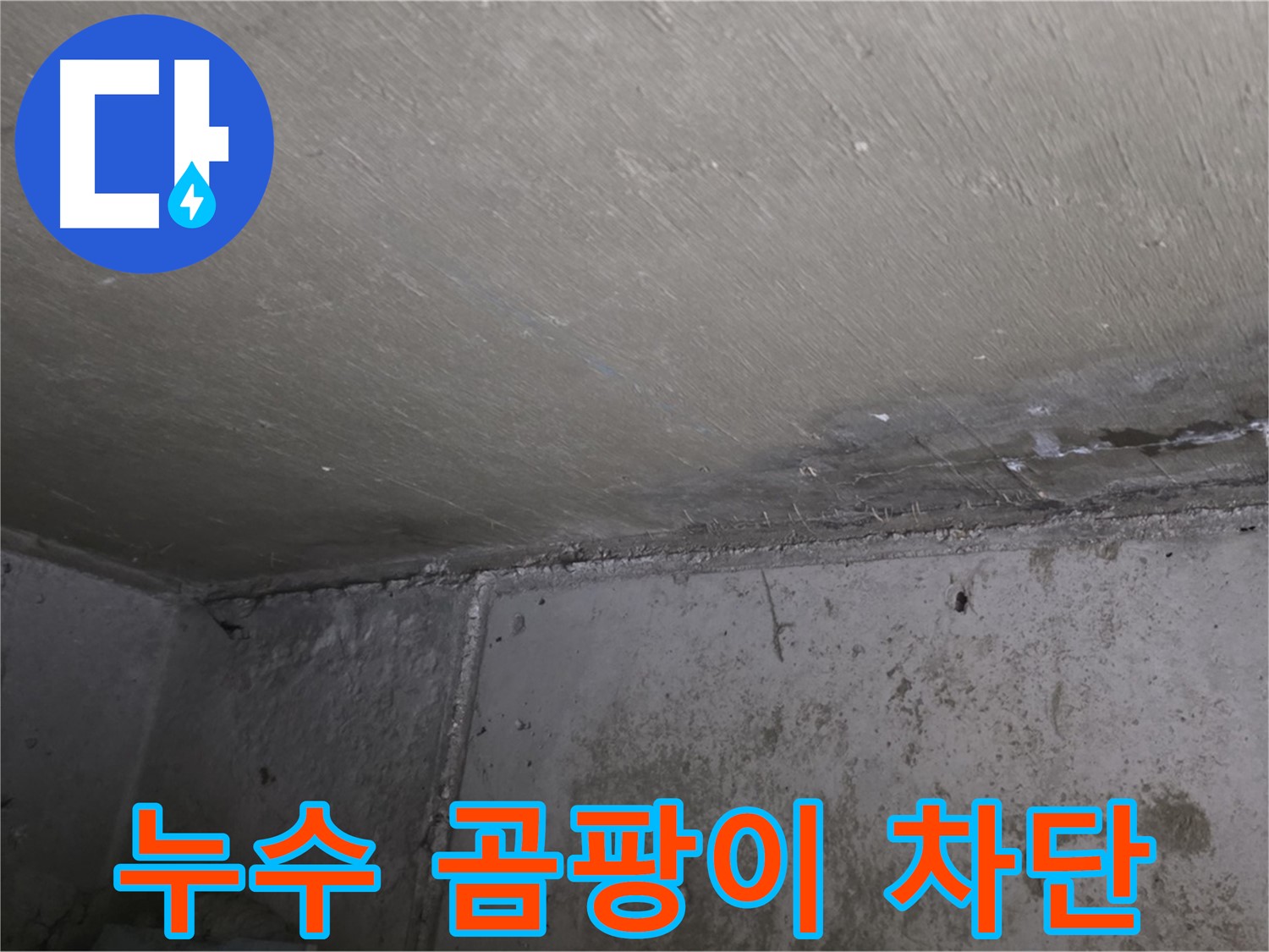 남양주 오남읍 두산아파트 천장 누수 - 곰팡이 완벽 차단
