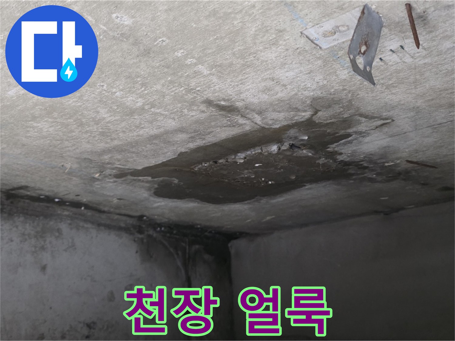 물이 스며들어 생긴 아래층 화장실 천장 얼룩 - 남양주 오남 아파트 누수