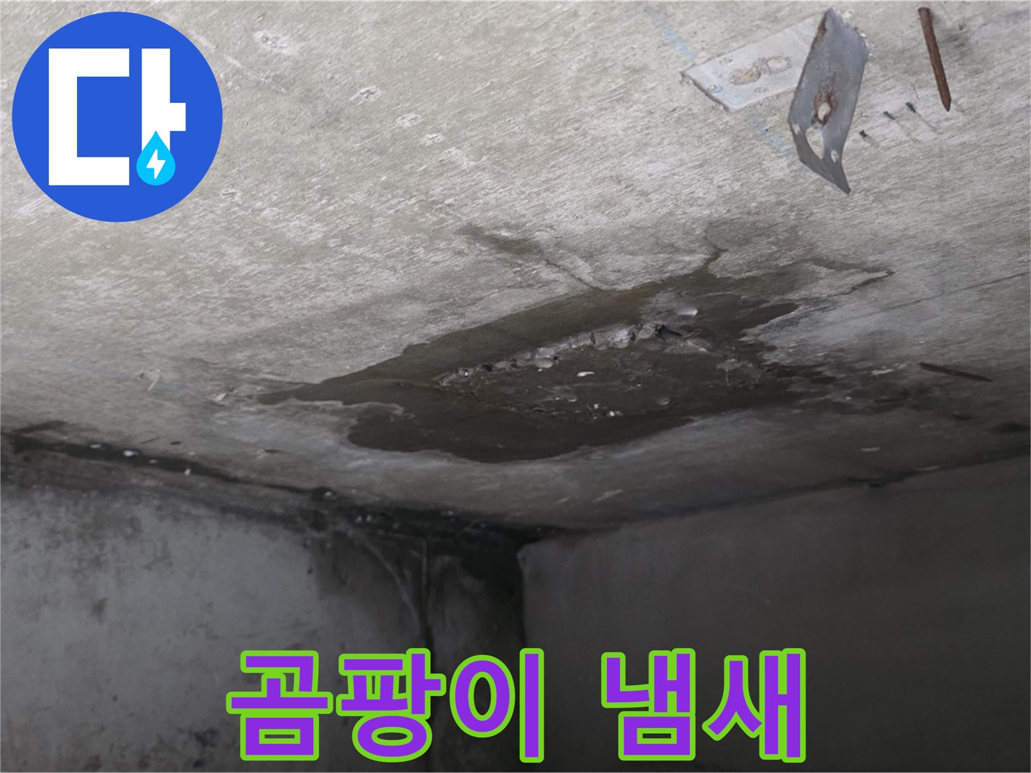 아래층 화장실의 심한 곰팡이 냄새 - 남양주 오남 아파트 누수 문제
