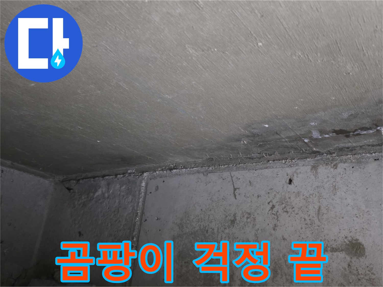 오남읍 두산아파트 벽 누수 곰팡이 - 곰팡이 걱정 없는 집