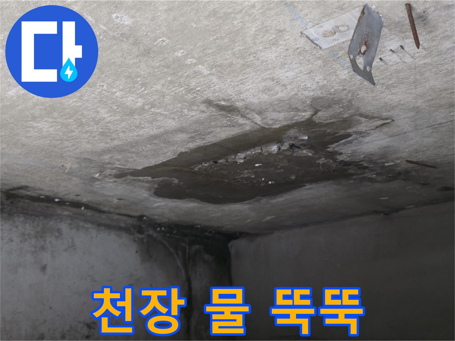 콘크리트 천장에서 물이 뚝뚝 - 남양주 오남 누수