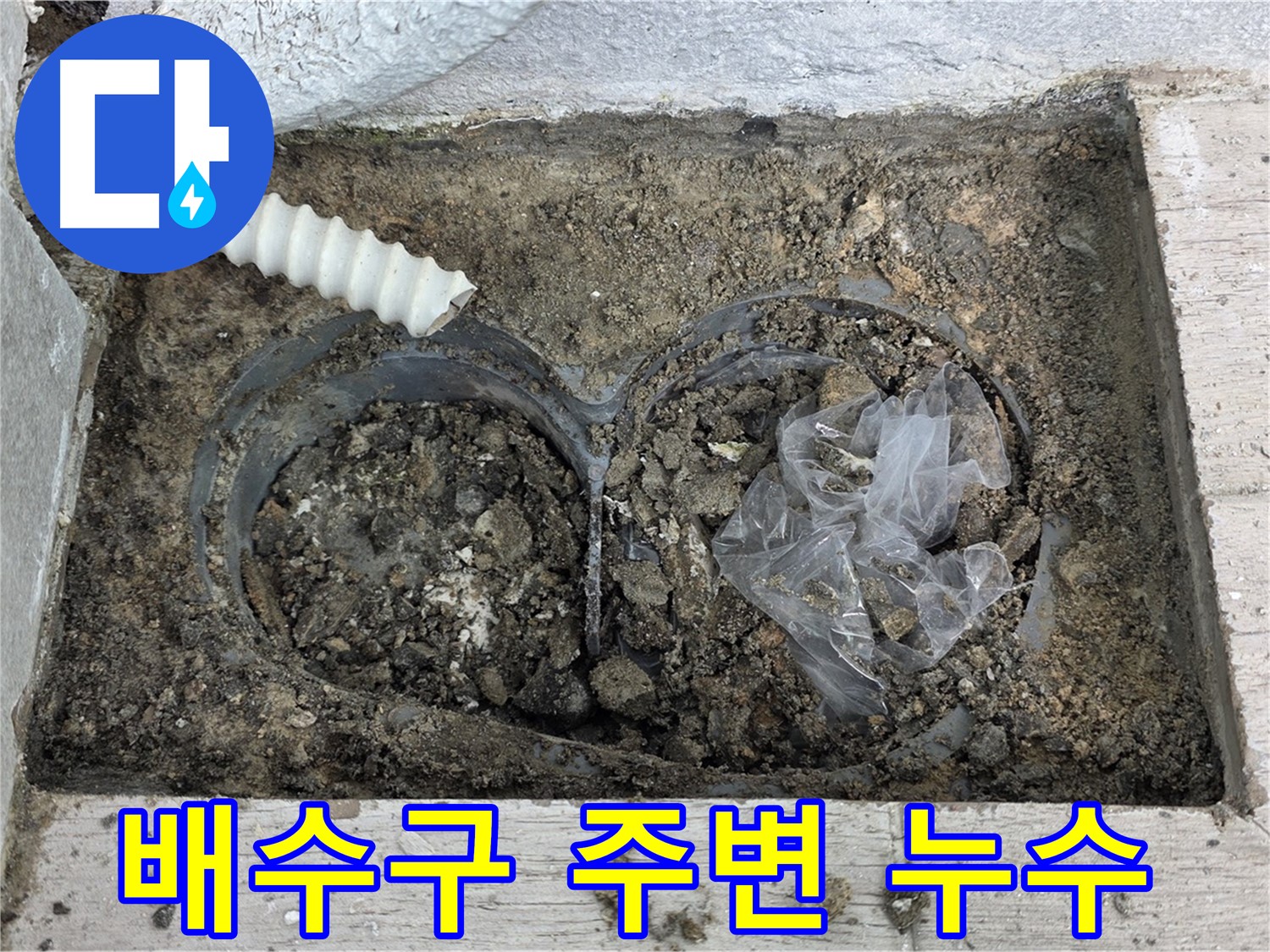 노원구 중계3동 청구3차 아파트에서 배수구 주변 누수를 확인하고 있습니다 - 꼼꼼한 점검으로 누수 원인을 파악합니다.