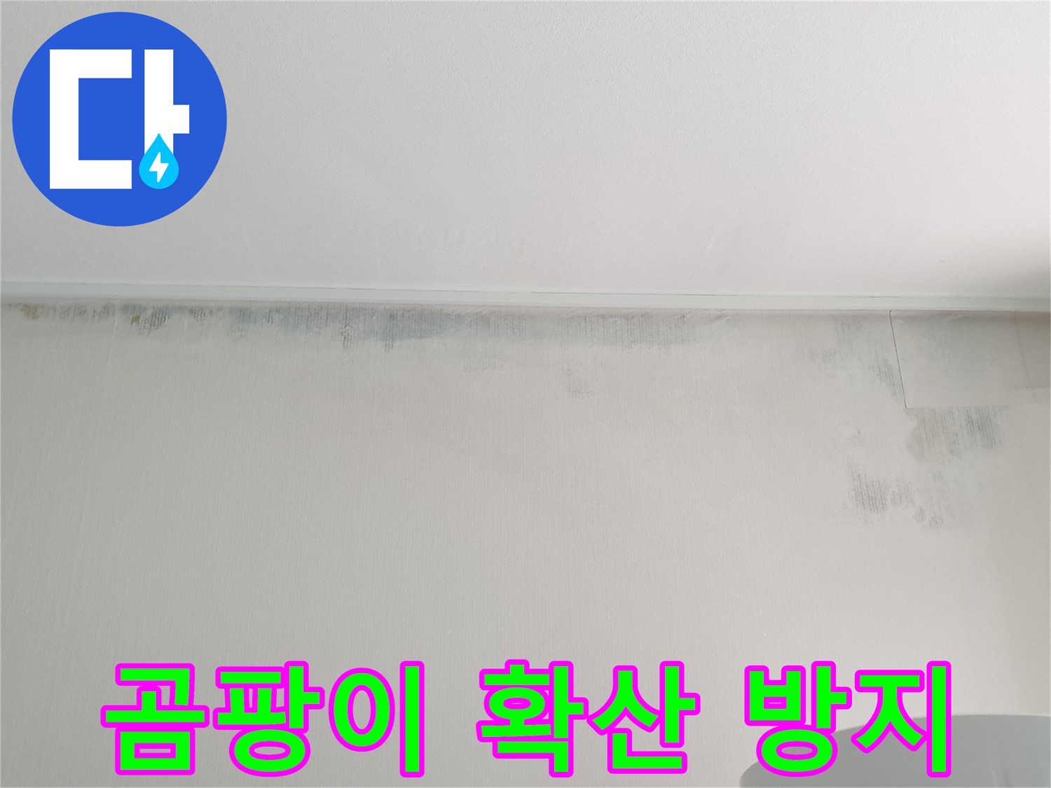 노원구 중계동 아파트 천장 누수 - 곰팡이 확산 방지 긴급 시공