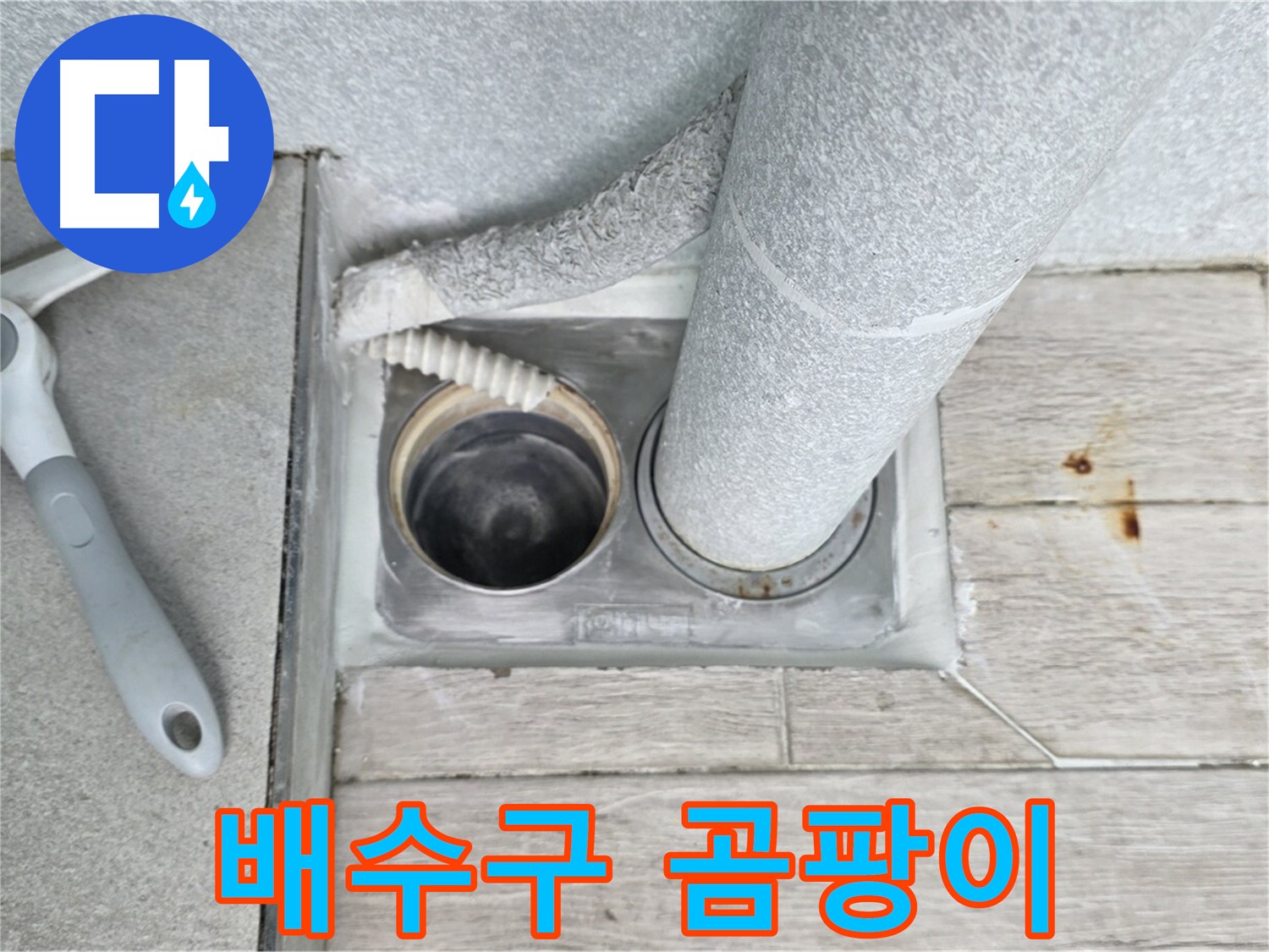 노원구 중계동 청구3차 아파트 욕실 배수구 누수 - 배수구 주변 곰팡이 상태를 꼼꼼하게 확인