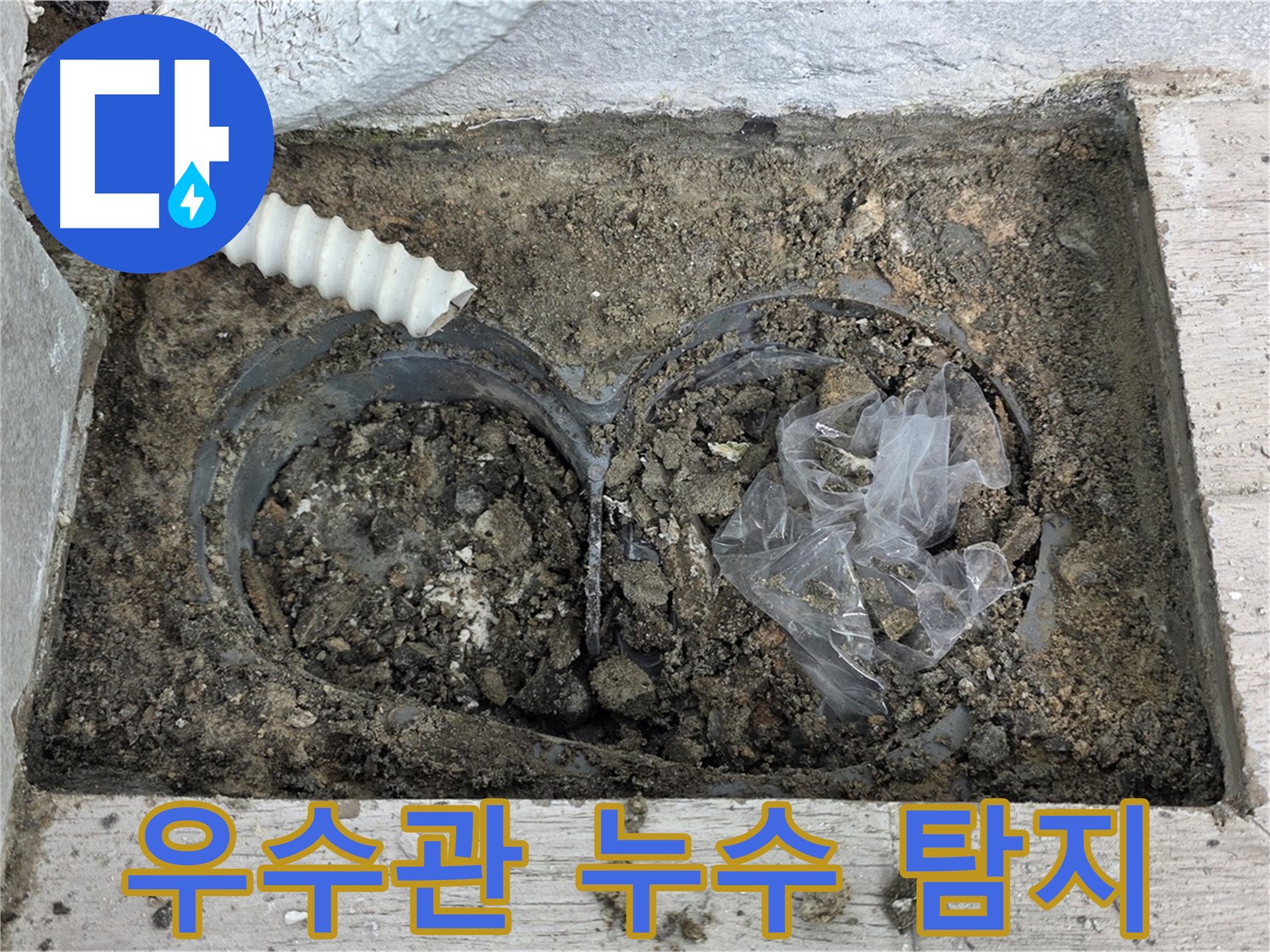 노원구 중계동 청구3차 아파트에서 우수관 누수 탐지 작업을 하고 있습니다 - 정확한 탐지로 누수 문제 해결!