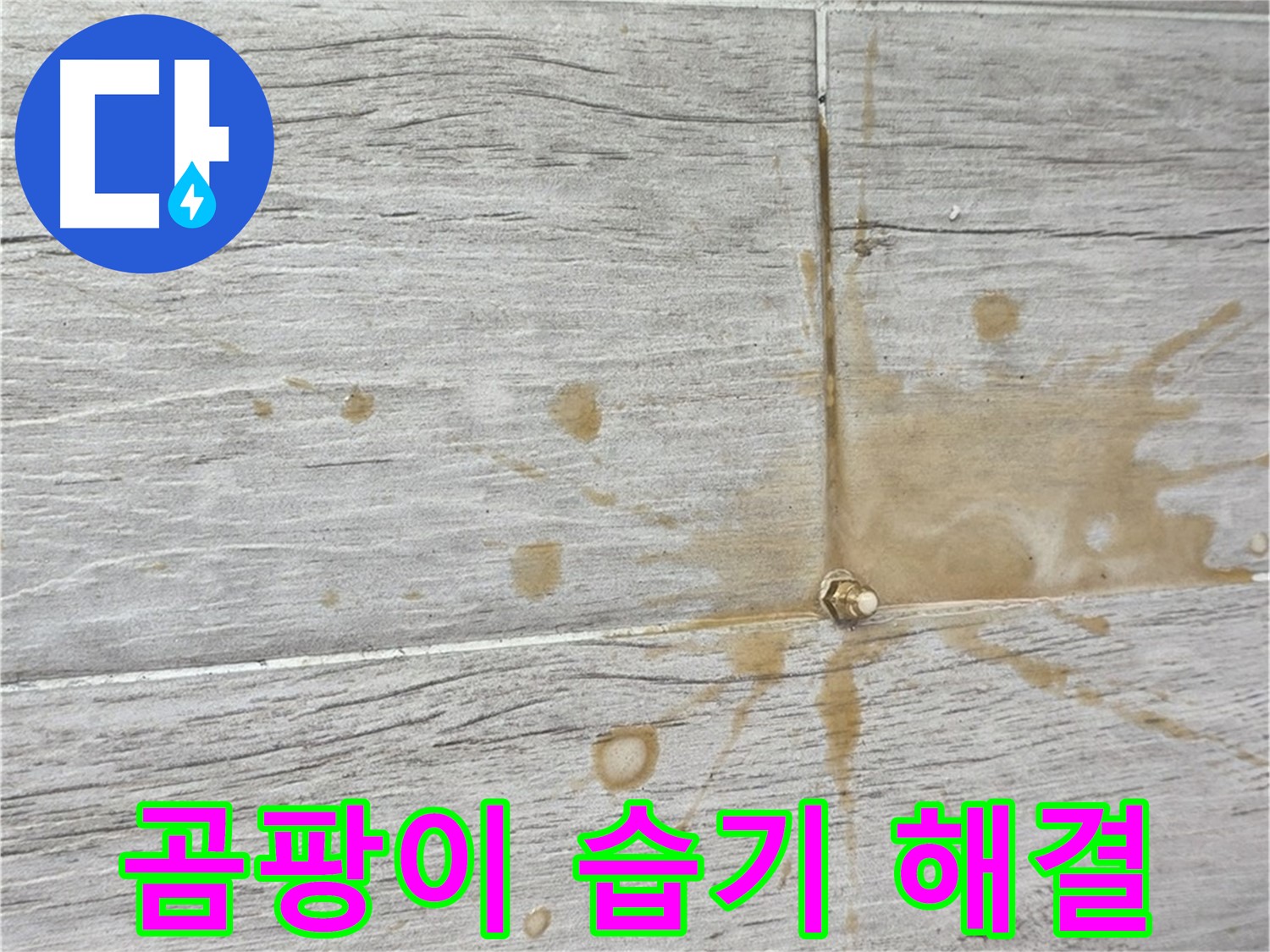 마루 곰팡이 - 습기 제거와 친환경 인젝션 방수로 쾌적하게 곰팡이 제거
