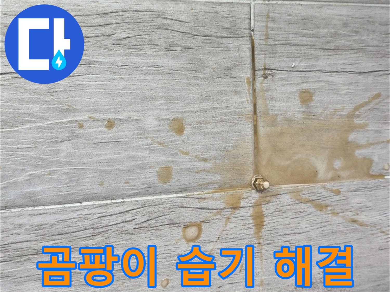 마루 곰팡이 - 습기 제거와 친환경 인젝션 방수로 쾌적하게 곰팡이 제거