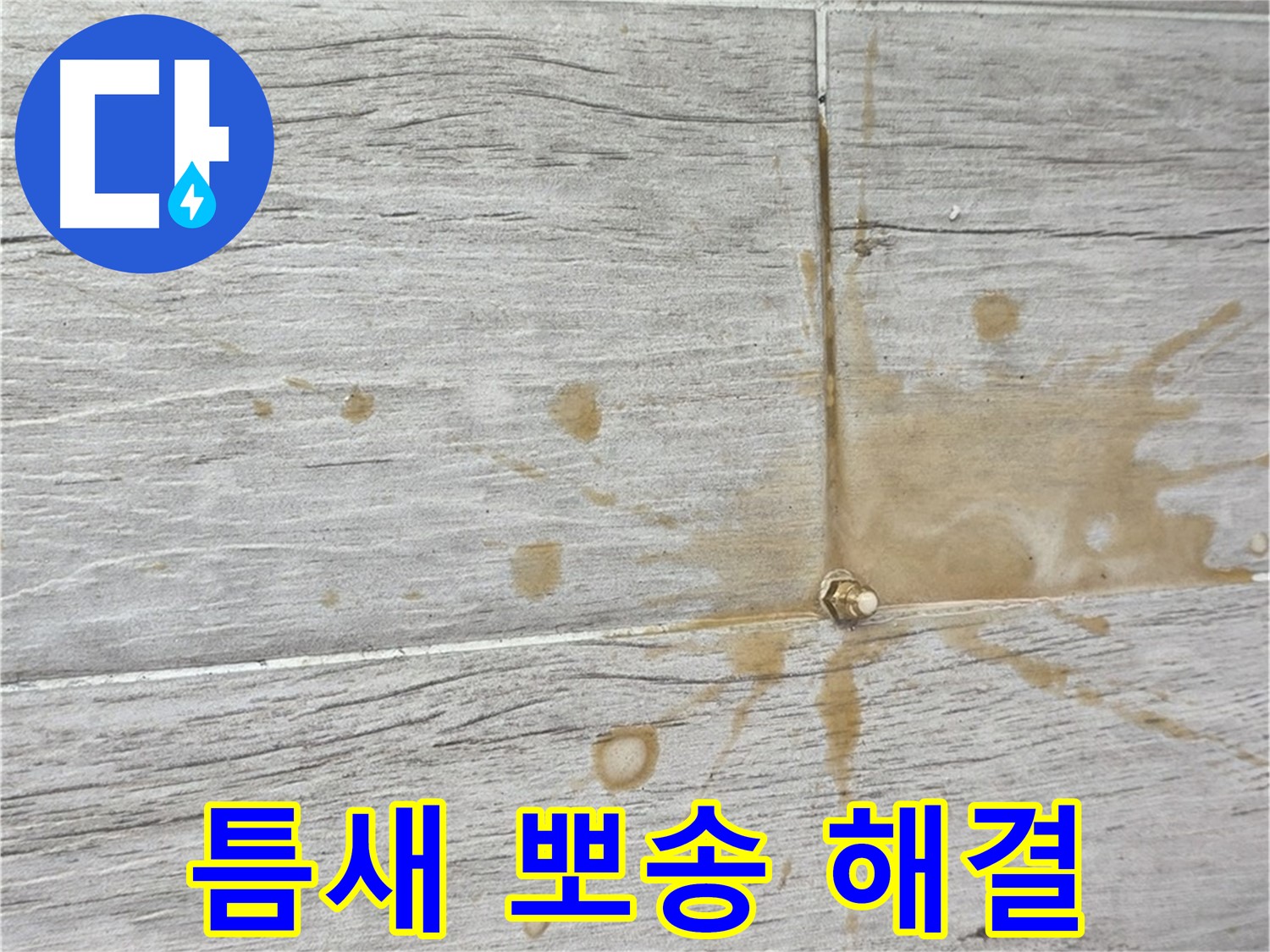 마루 틈새 물기 - 뽀송하게, 곰팡이 걱정 끝!