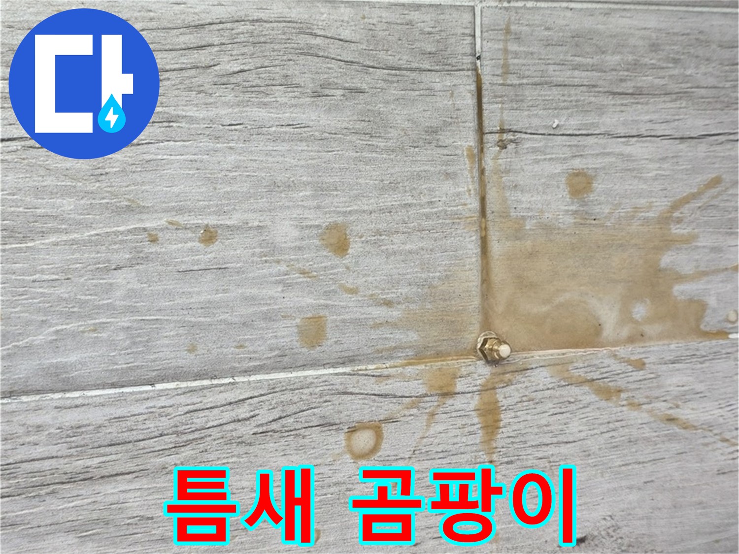 마루 틈새에 곰팡이가 핀 모습 - 인젝션 방수로 깨끗하게