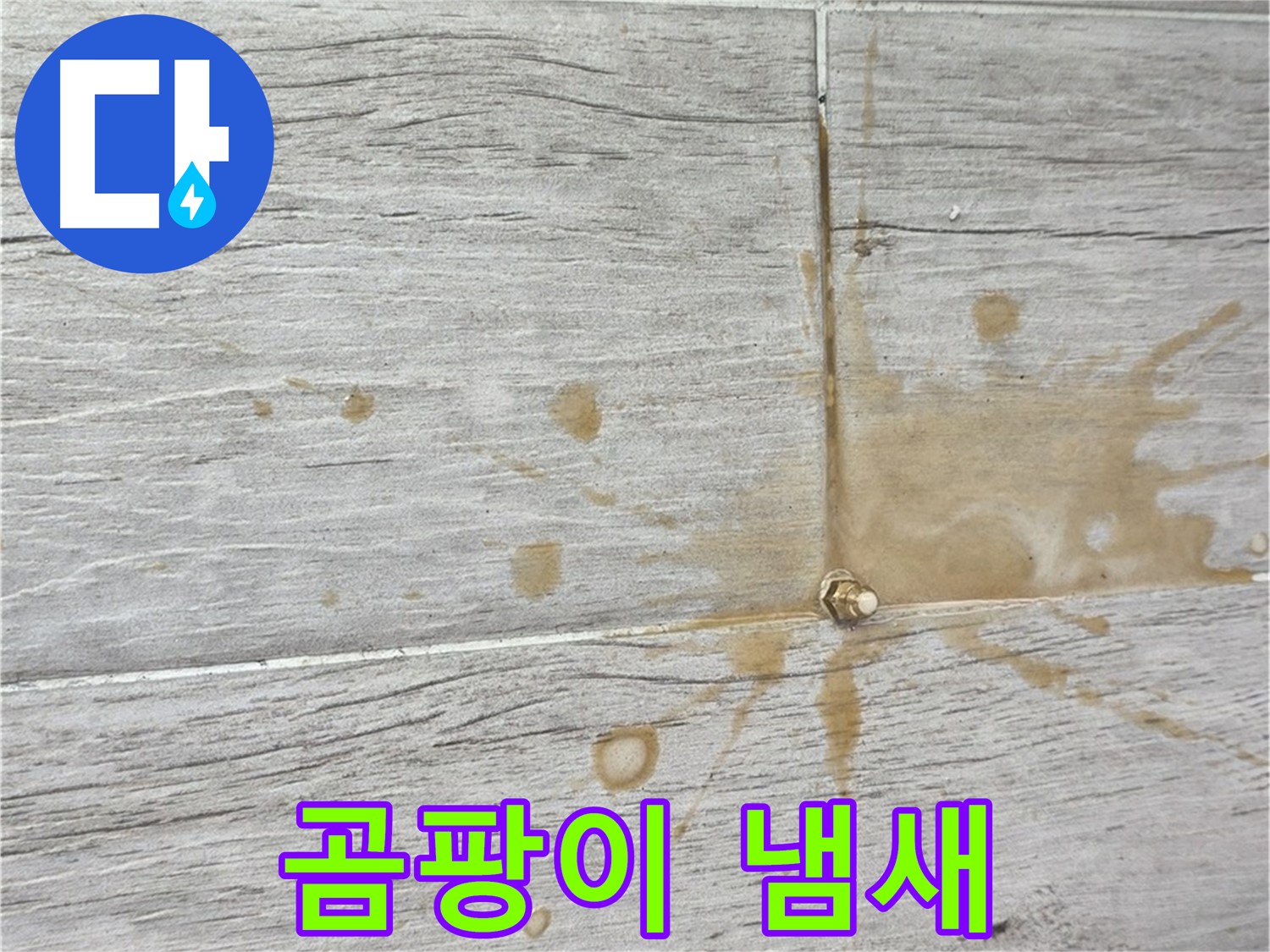 마루에서 곰팡이 냄새가 나는 모습 - 인젝션 방수로 쾌적하게