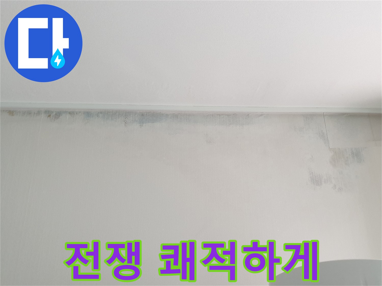 중계2동 청구3차 곰팡이 - 곰팡이와의 전쟁