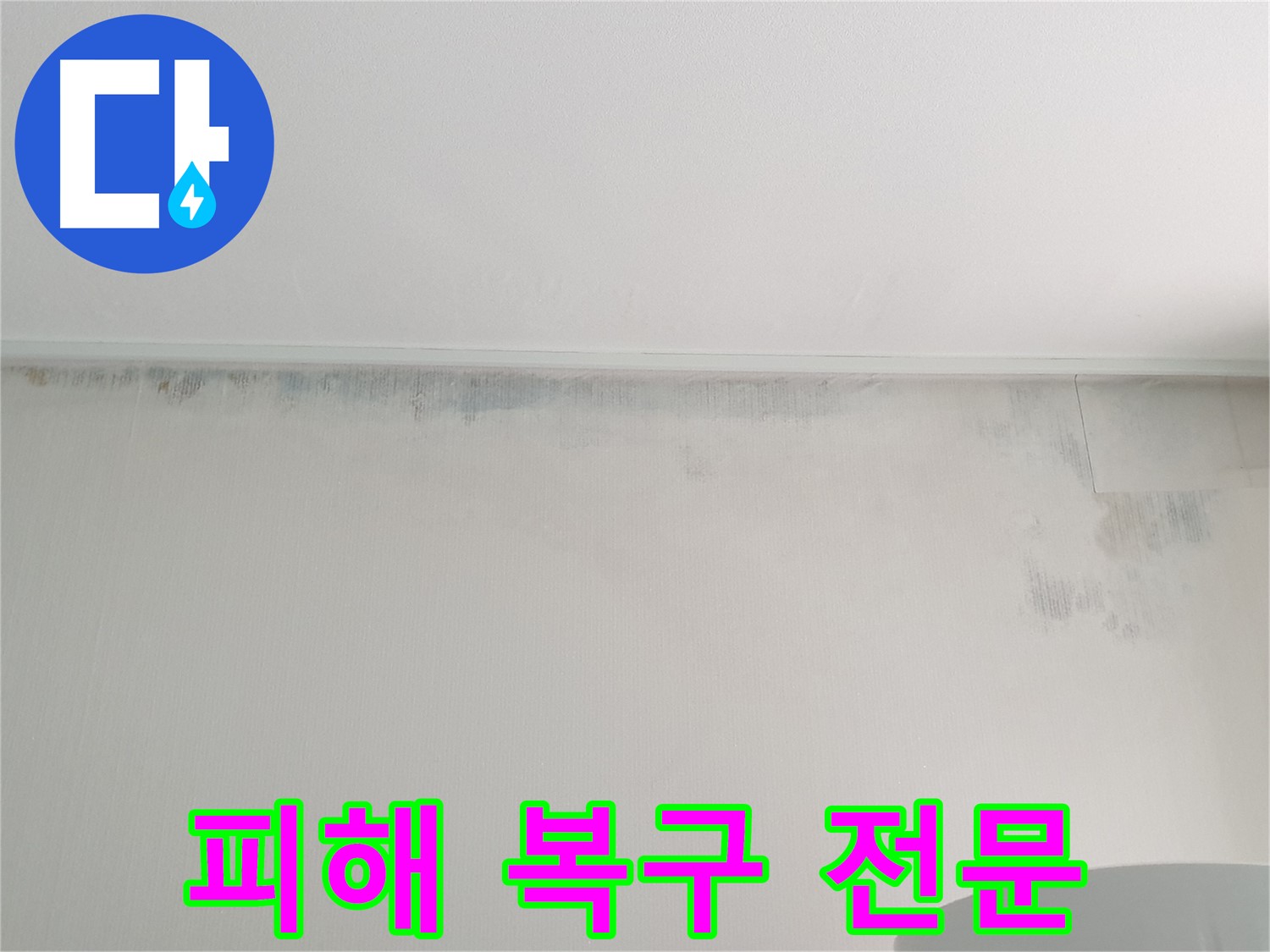 중계4동 아파트 벽 곰팡이 - 피해 복구 및 재발 방지 시공
