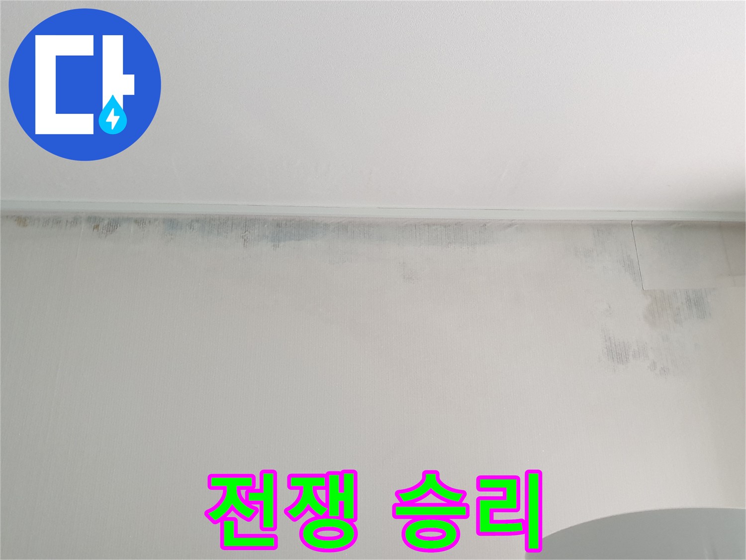 중계동 아파트 곰팡이 - 곰팡이와의 전쟁 완벽 승리