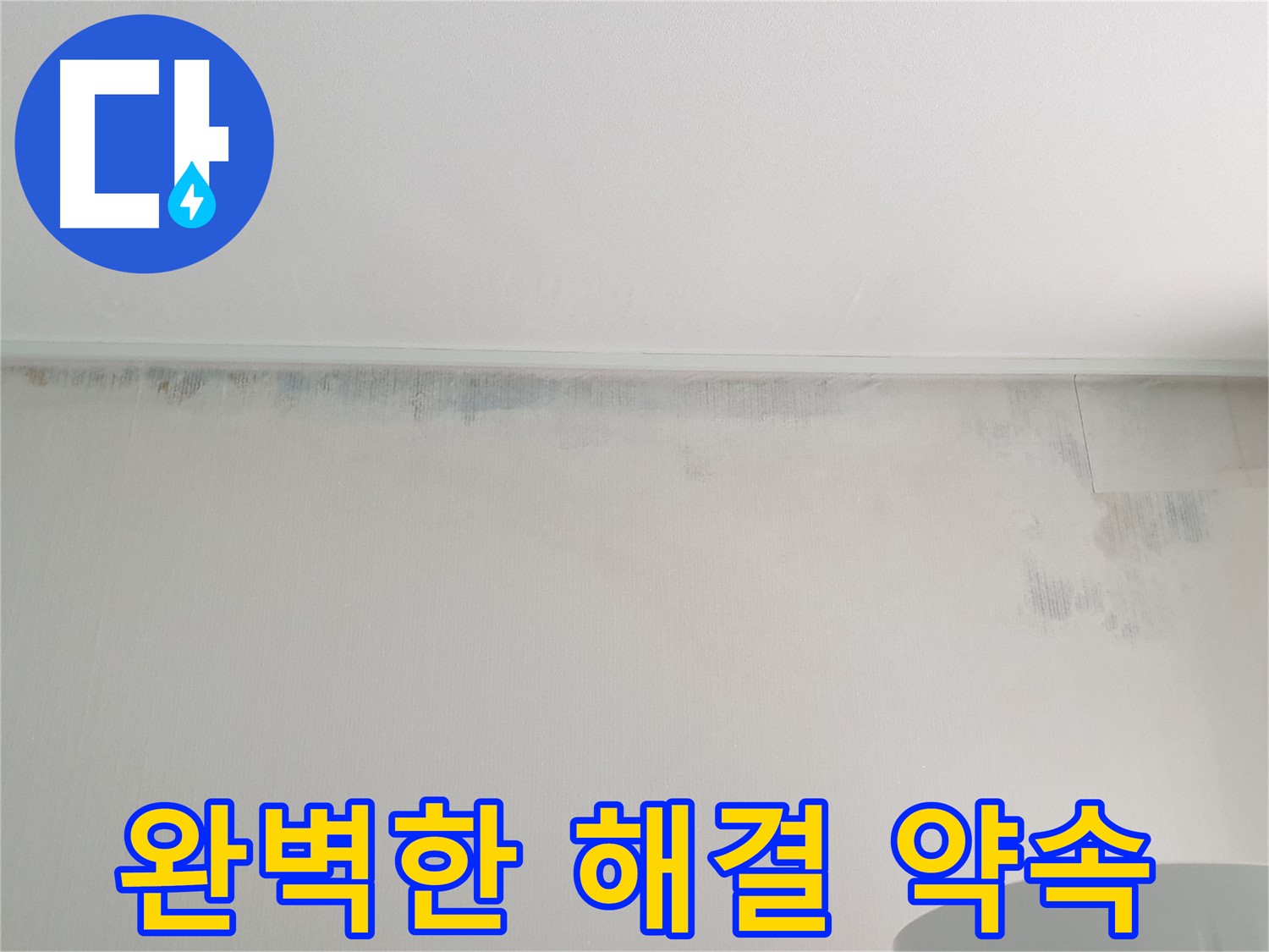 중계동 아파트 천장 곰팡이 - 완벽한 해결 약속