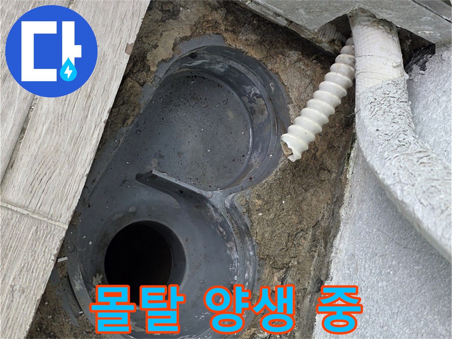 중계동 욕실 - 배수구 수평을 맞추고 몰탈 양생 중