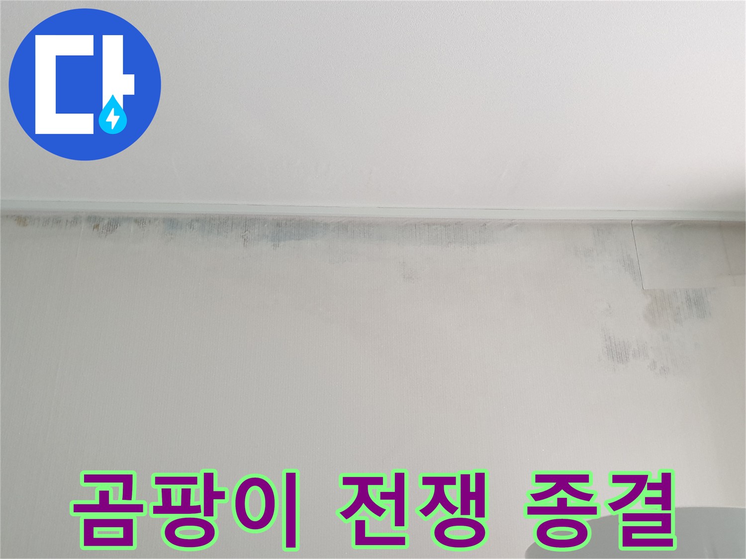 중계동 청구3차 곰팡이 누수 - 곰팡이와의 전쟁 종결