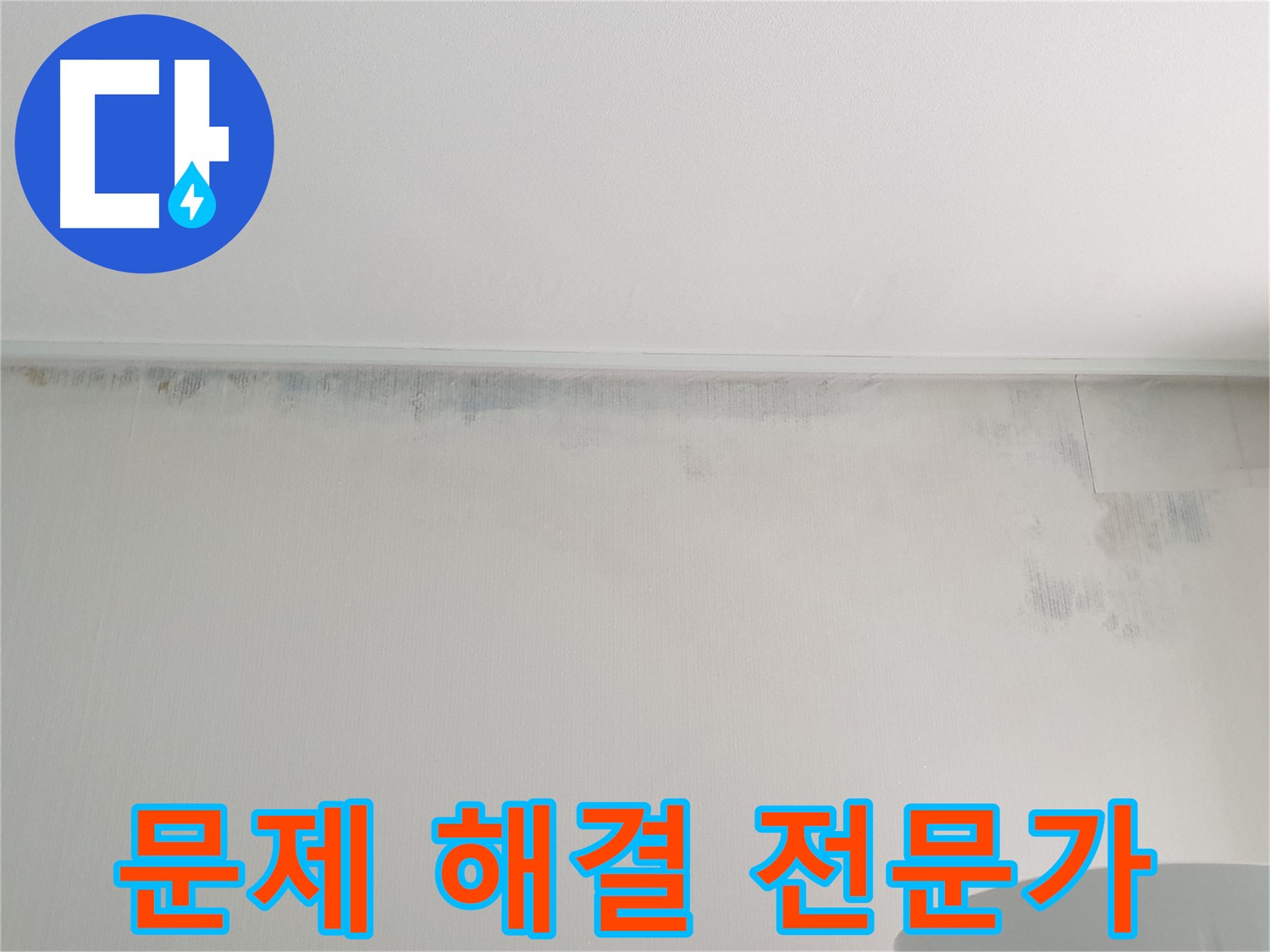중계동 청구3차 아파트 벽 곰팡이 - 누수 문제 해결 전문가