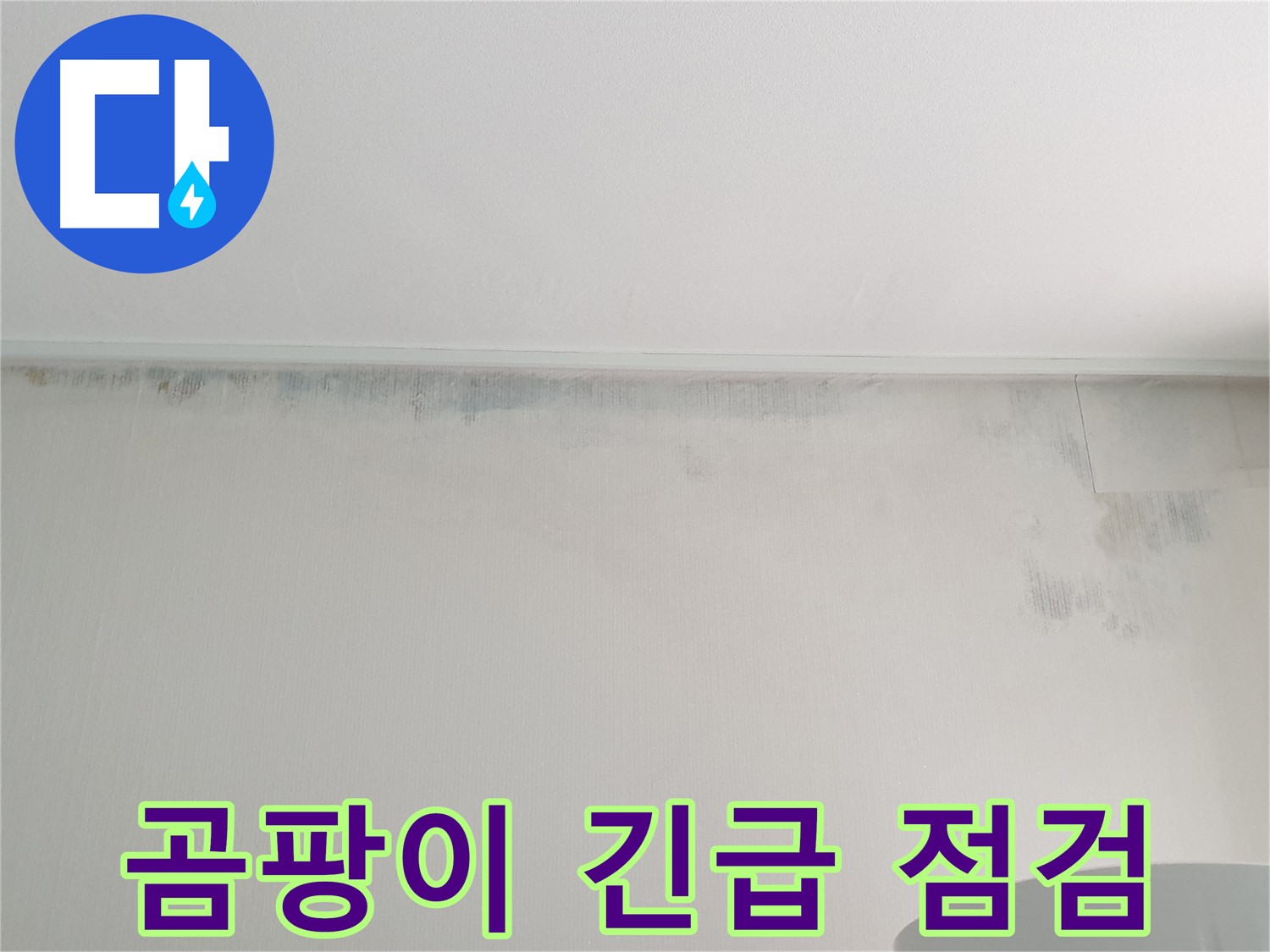 중계동 청구3차 아파트 벽 누수 - 긴급 곰팡이 점검
