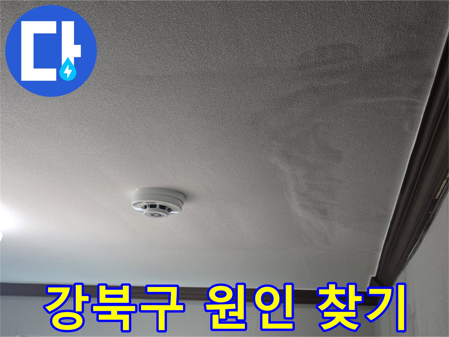 강북구 누수 탐지 - 천장 누수로 인한 젖은 천장과 몰딩, 곰팡이 발생 우려