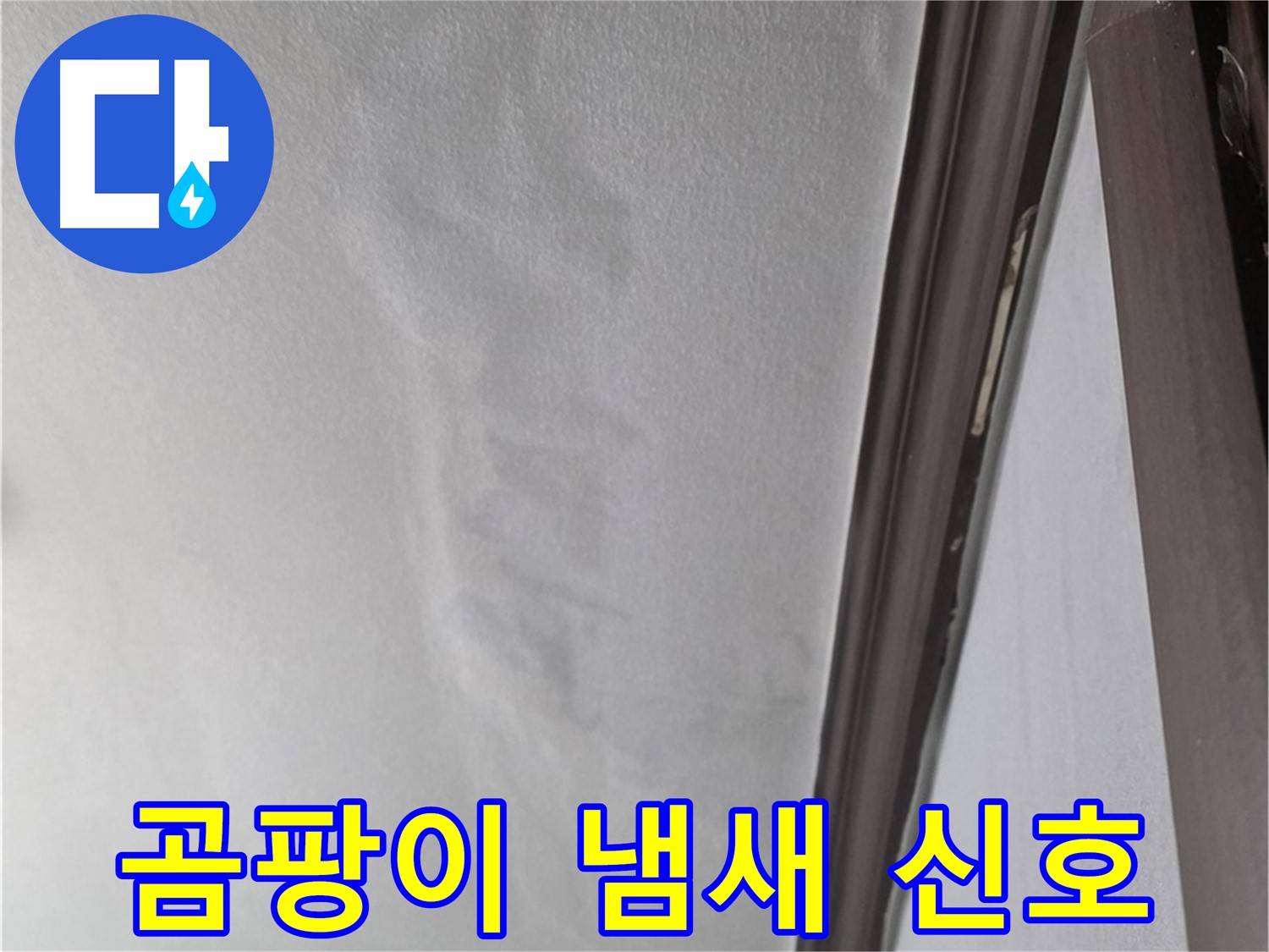강북구 벽 누수 - 곰팡이 냄새 누수 신호