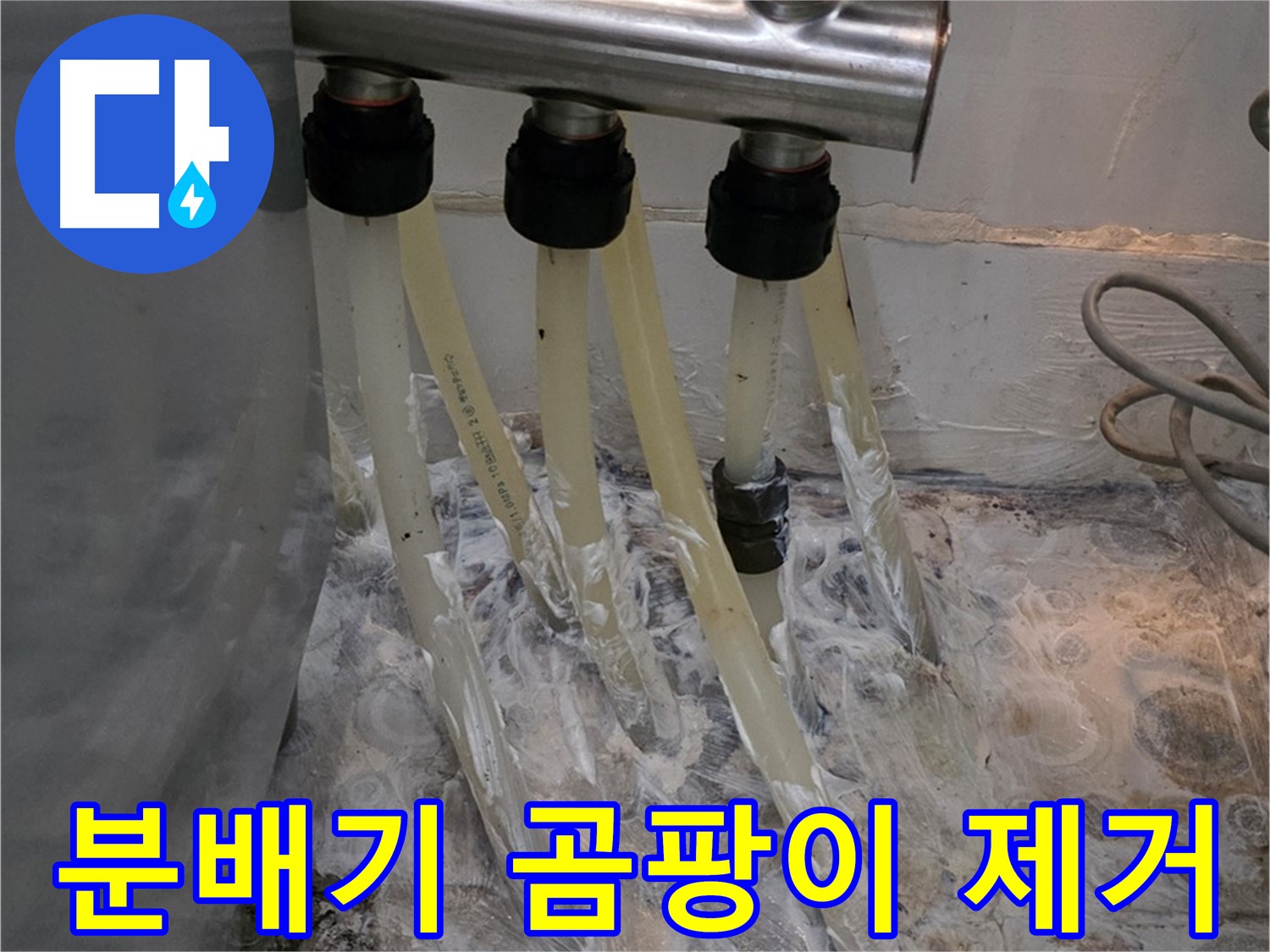 분배기 주변 곰팡이 - 철저한 방수 및 곰팡이 제거로 깨끗한 환경을 만들었습니다.