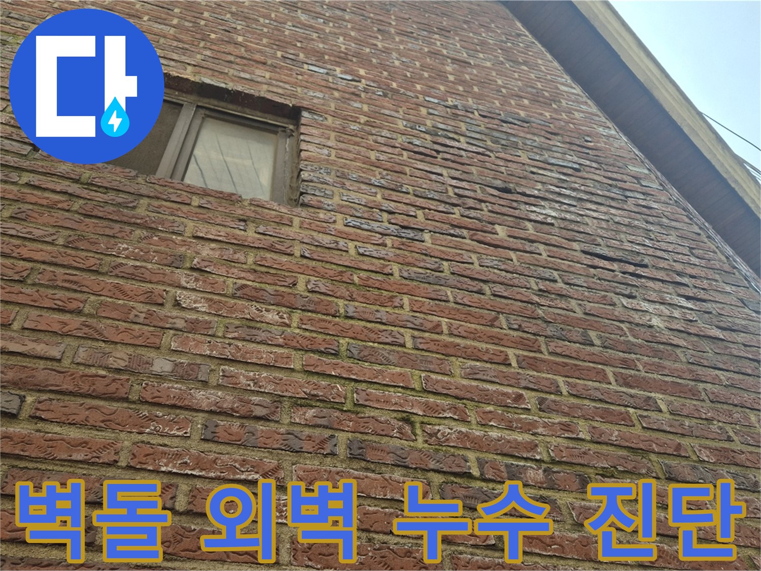 마포 합정 현대빌라 - 벽돌 외벽 누수 문제 해결 위한 정밀 진단 작업
