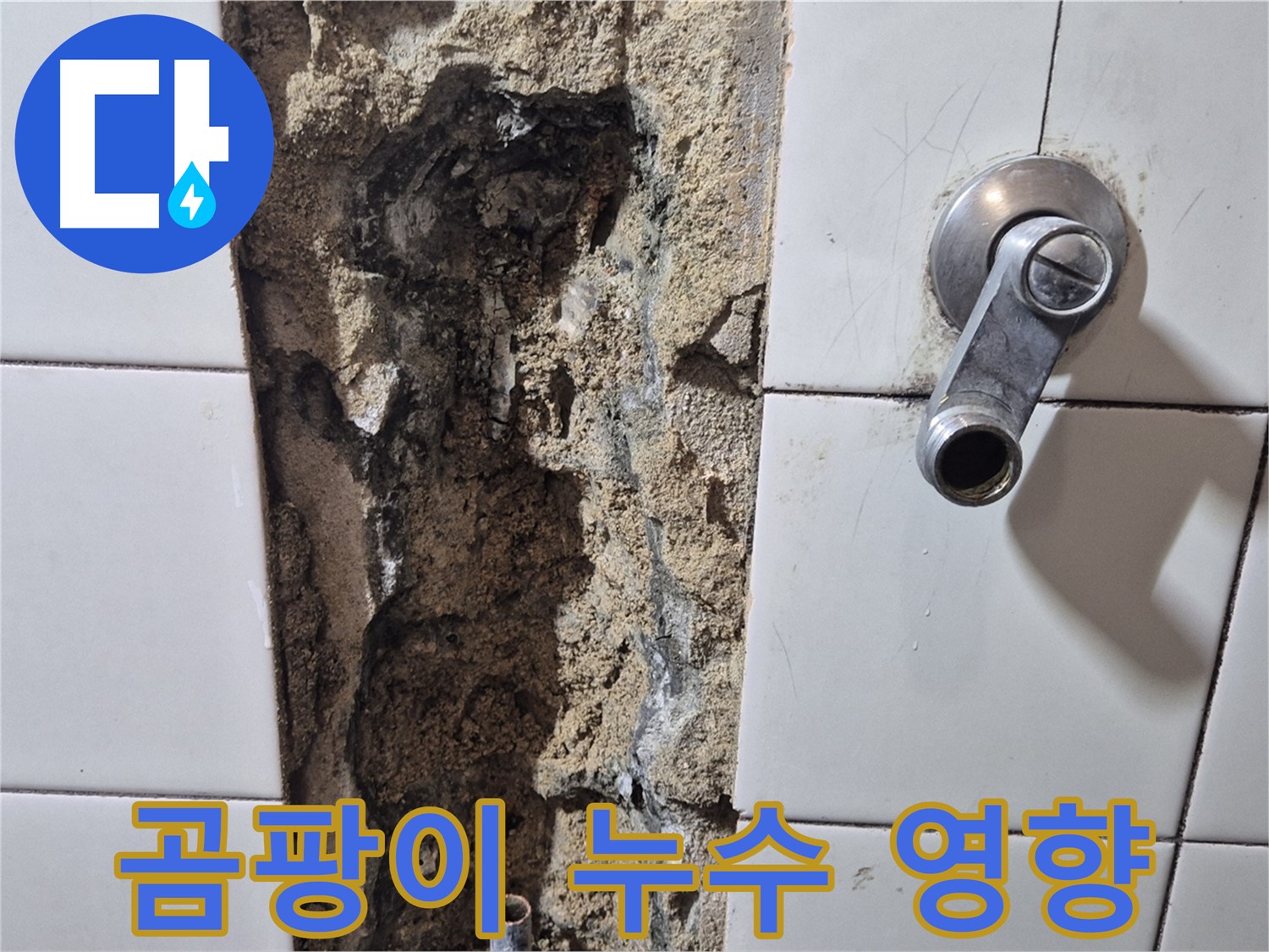 샤워기 수전 뒤 벽면 곰팡이 - 누수 영향