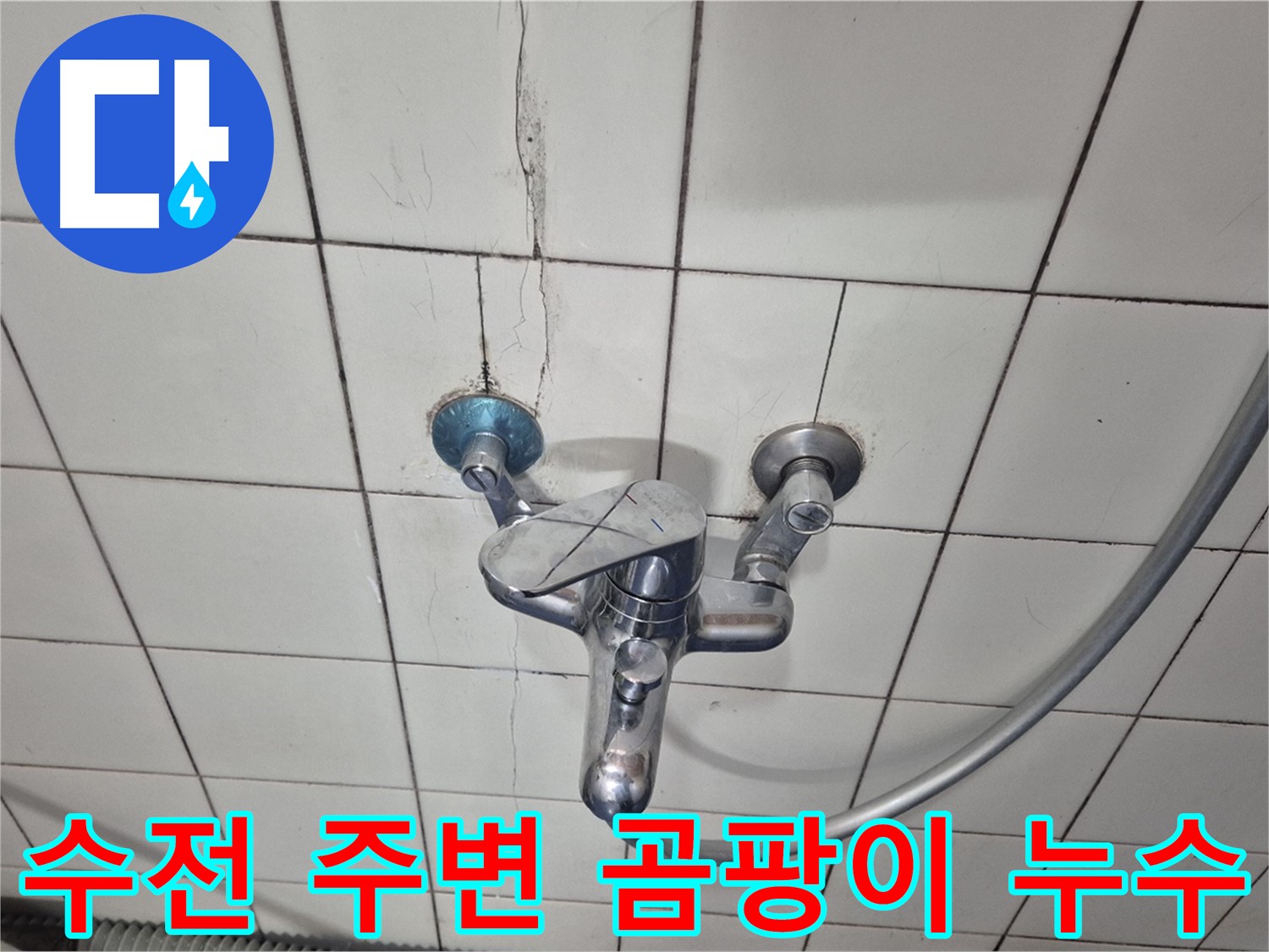 샤워기 수전 주변 곰팡이 발생 - 습기로 인한 곰팡이 및 누수 의심