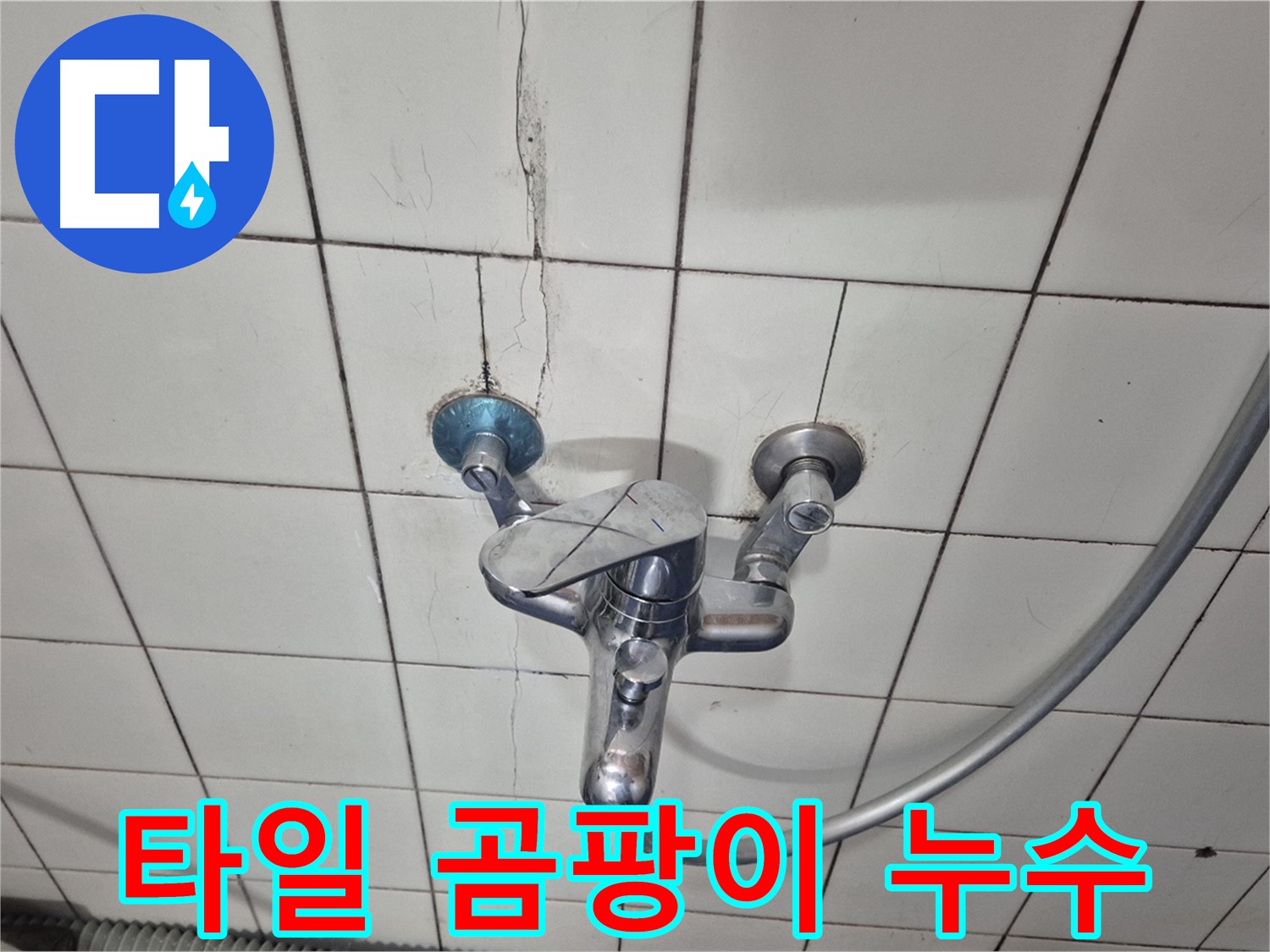 샤워기 수전 주변 타일 곰팡이 - 습기로 인한 곰팡이 번식 및 누수 의심