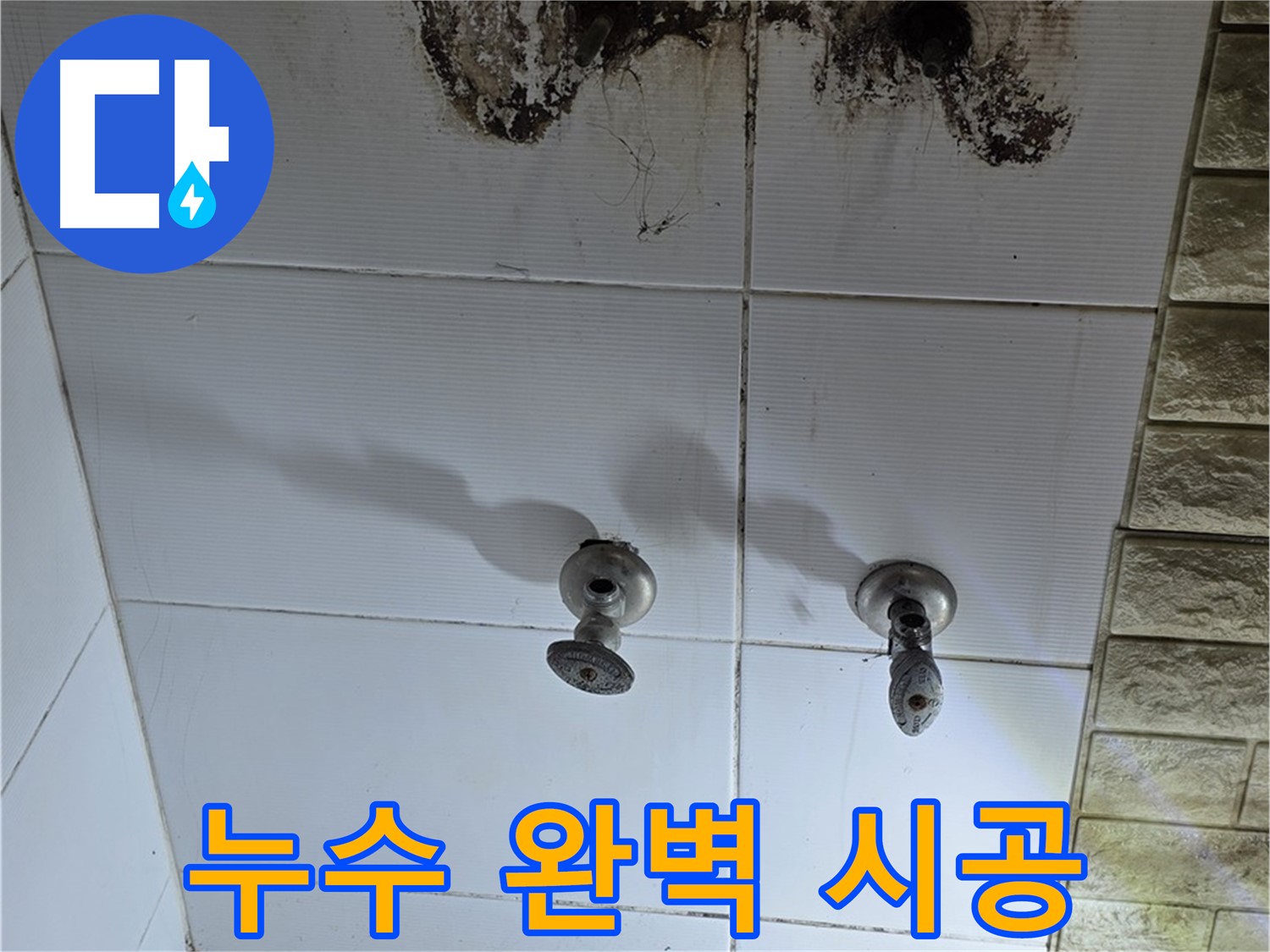 노원구 상계동 곰팡이 핀 욕실 벽 - 정확한 누수 진단과 완벽한 시공으로 쾌적한 욕실 환경을 만들어 드립니다.