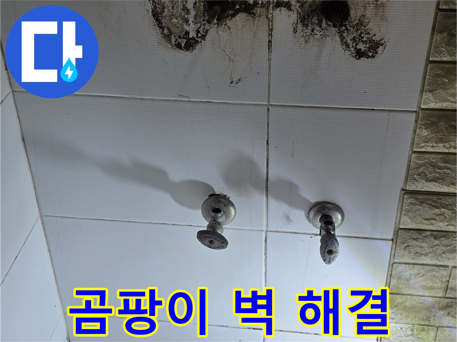 상계동 곰팡이 핀 욕실 벽 - 누수 원인을 정확히 파악하고 곰팡이까지 깨끗하게 제거해 드립니다.