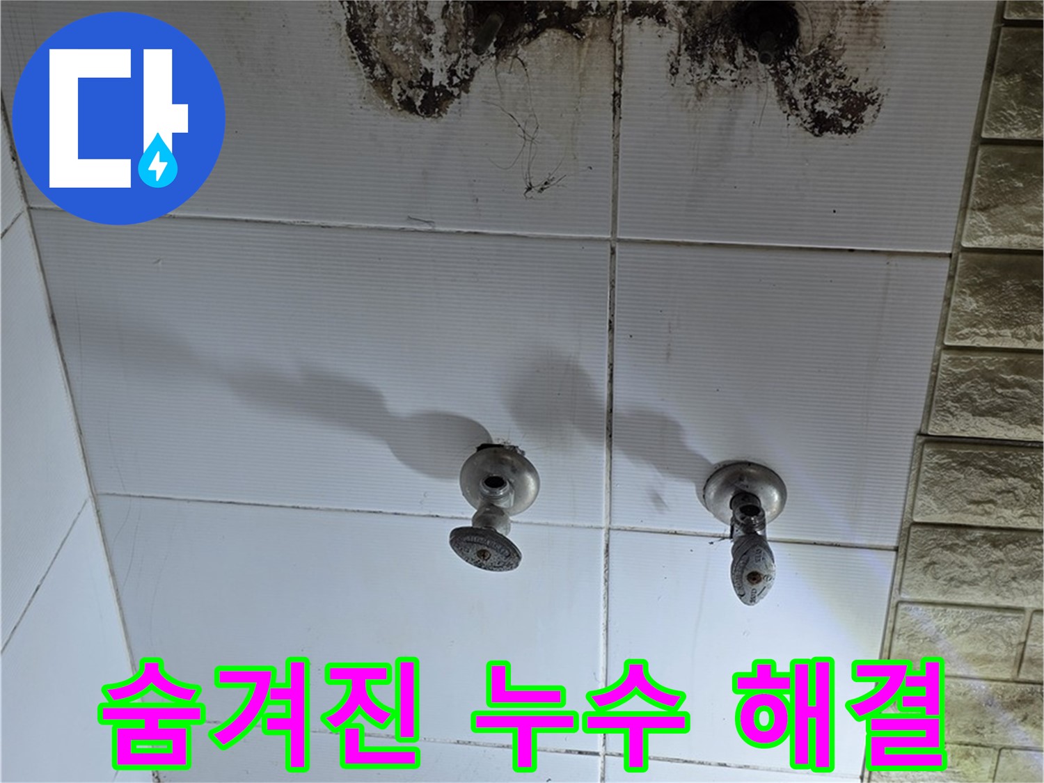 상계동 빌라 곰팡이 핀 욕실 - 숨겨진 누수를 찾아 완벽하게 해결하는 전문 업체를 소개합니다.