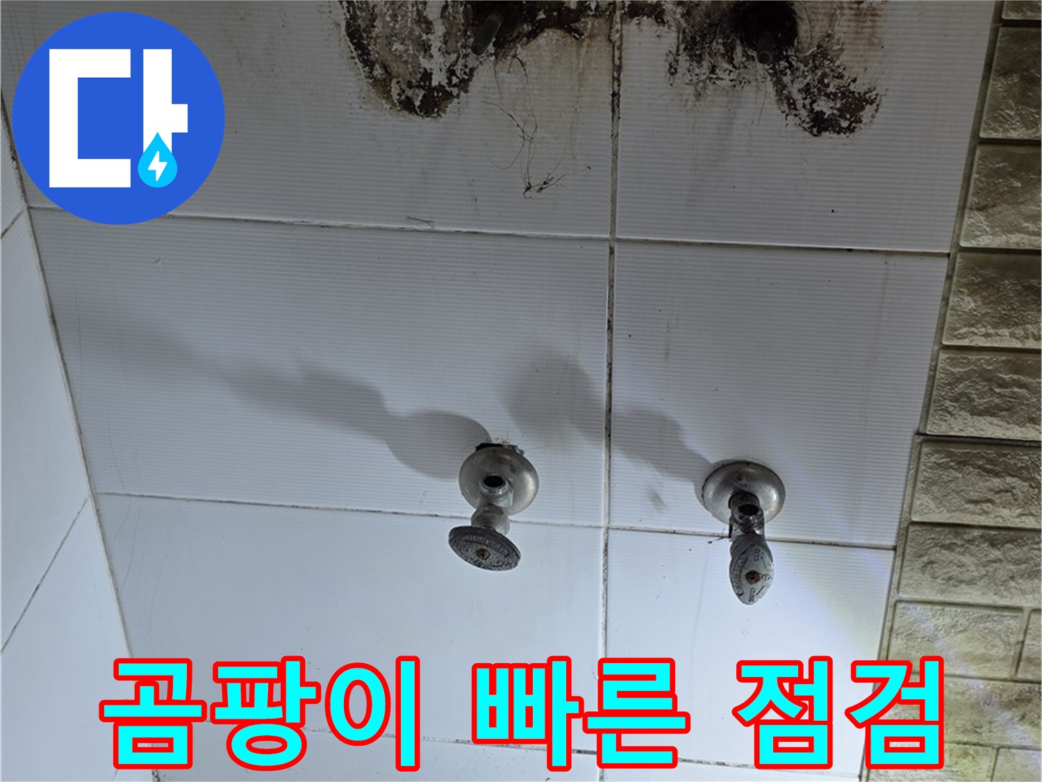 상계동 욕실 곰팡이 방치 금지 - 빠른 점검과 해결로 건강하고 쾌적한 욕실을 만드세요.