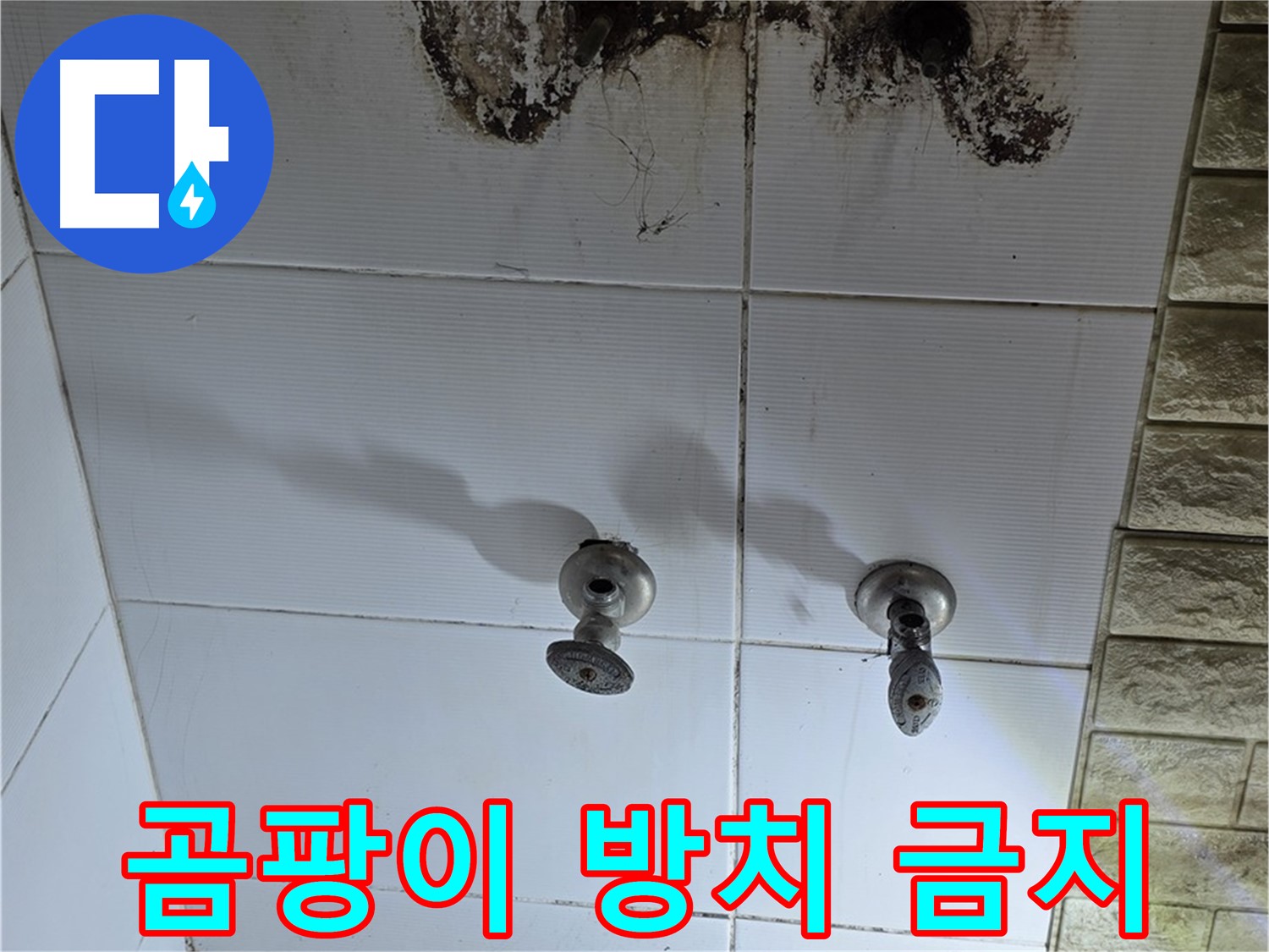 상계동 욕실 곰팡이 방치 금지 - 빠른 점검과 해결로 건강하고 쾌적한 욕실을 만드세요.