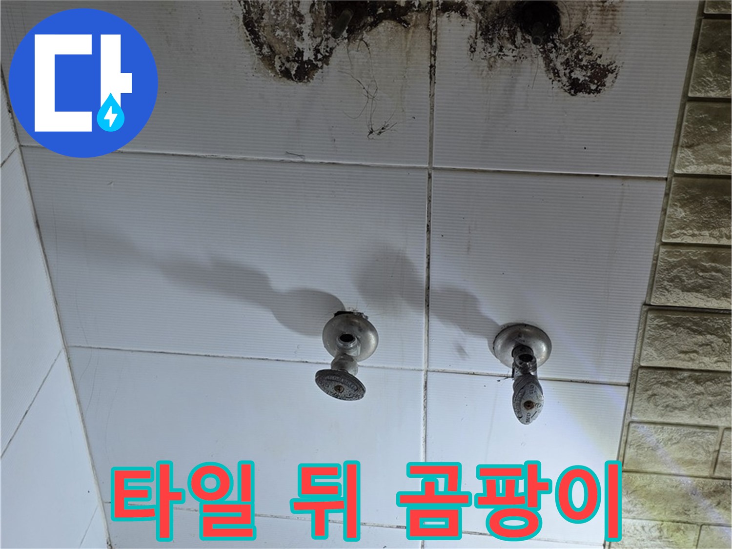 상계동 욕실 타일 뒤 곰팡이 - 숨은 누수를 찾아 해결하는 전문 업체를 소개합니다.