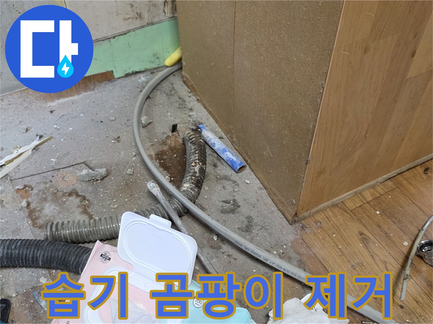 습기 곰팡이 제거 - 습기와 곰팡이를 깨끗하게 제거합니다.