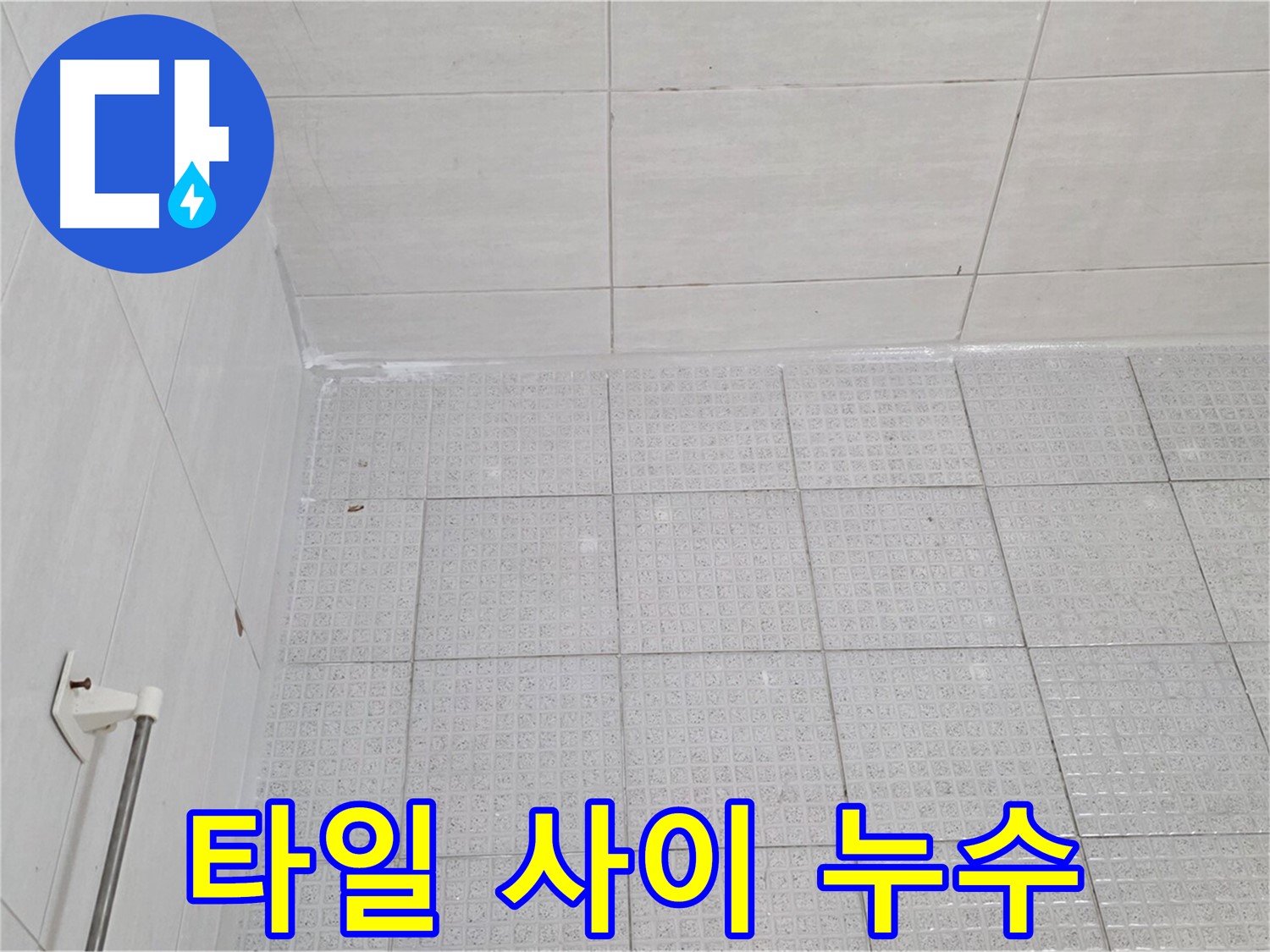 과천 문원동 욕실 벽-바닥 타일 사이 누수 - 누수탐지 전문가의 꼼꼼한 실리콘 시공