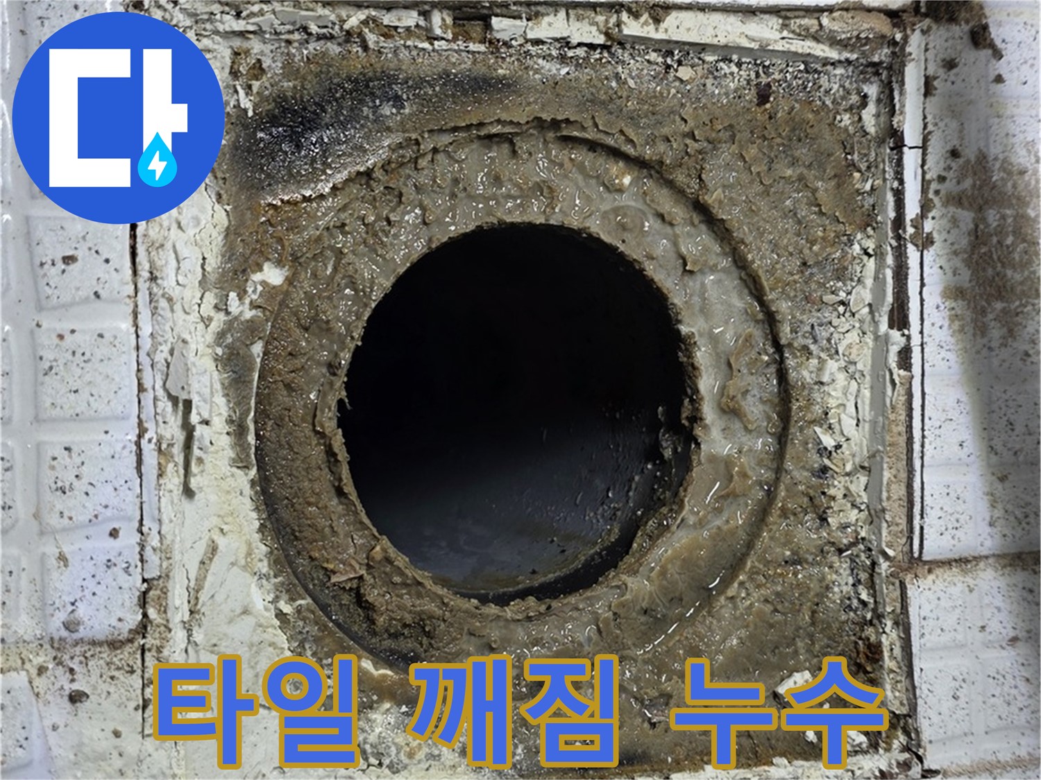 과천시 문원동 욕실 누수 - 유가 주변 타일 깨짐, 누수 경로 의심