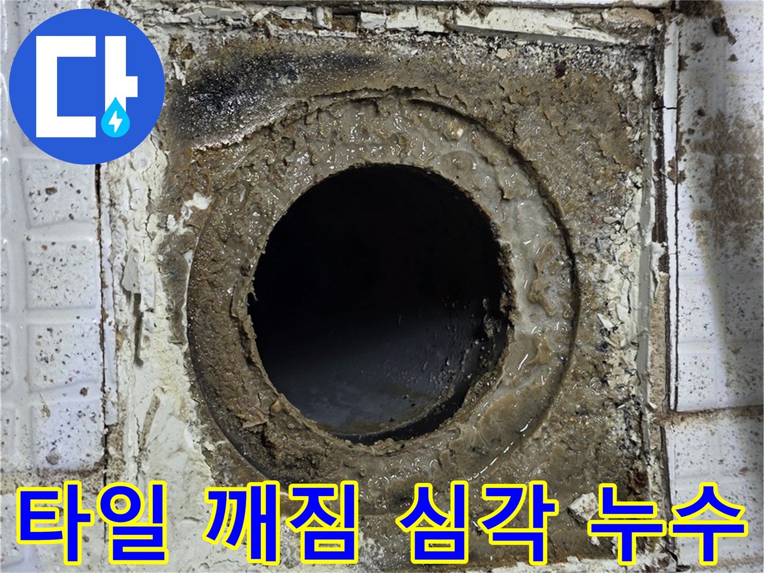 과천시 문원동 욕실 유가 주변 타일 깨짐 심각 - 아랫집 누수 직접 원인 가능성