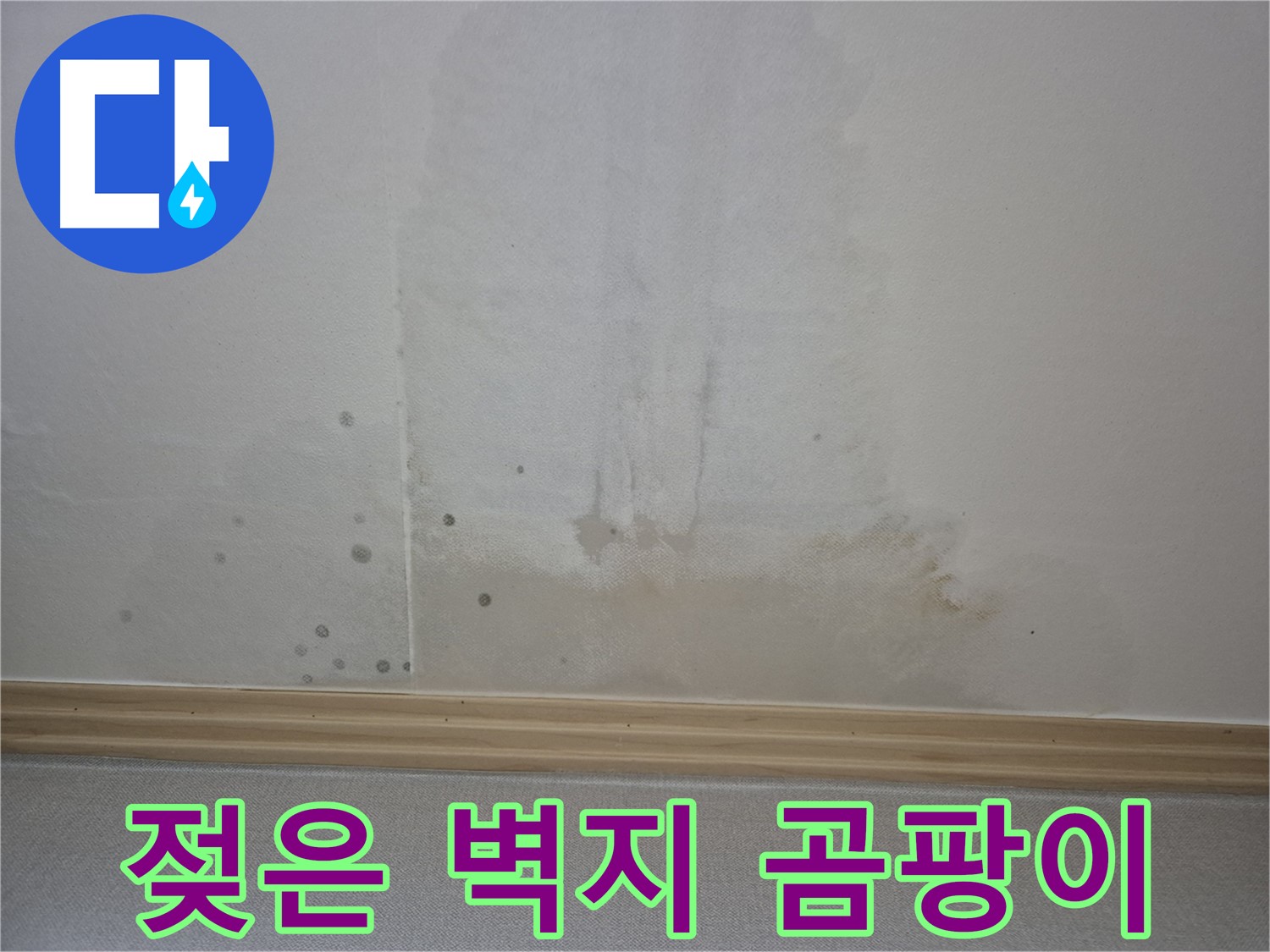 고양시 일산서구 - 젖은 벽지는 곰팡이 서식에 최적의 환경입니다