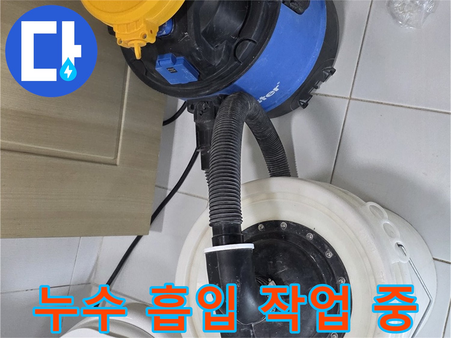 누수 흡입 작업 - 꼼꼼한 물 제거