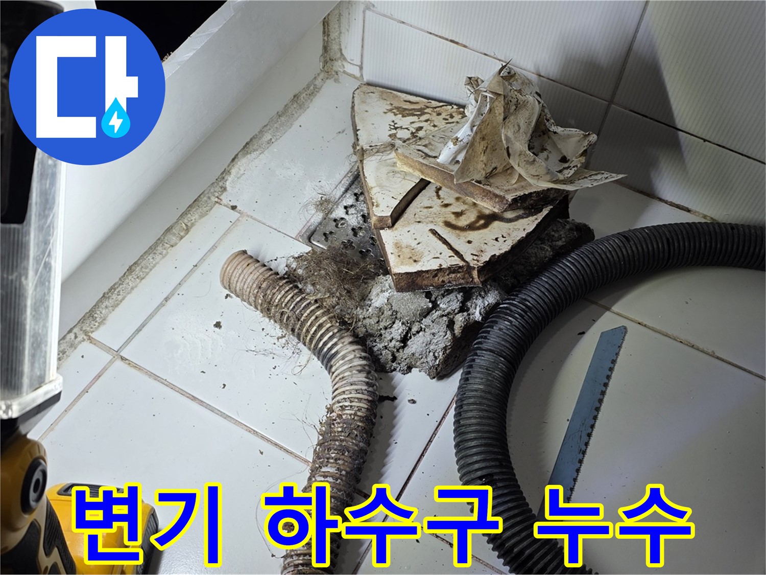 일산 가좌동 변기 누수 - 문제의 하수구 주변을 집중적으로 점검하는 모습