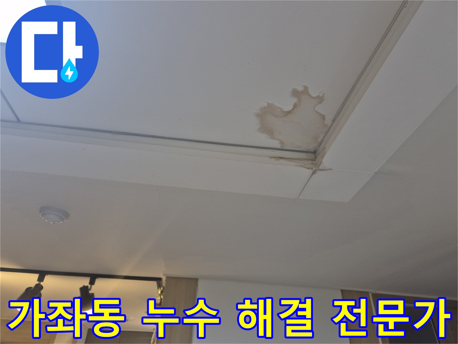 일산서구 가좌동 천장 누수 - 건물 노후화 진단 및 필요한 보수 작업 진행