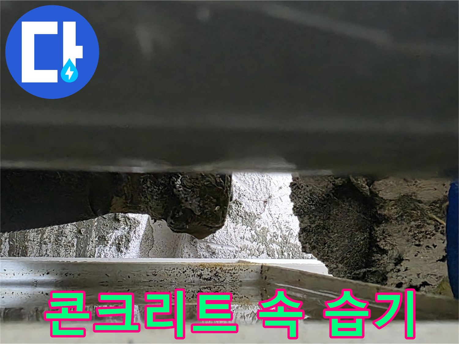 노원구 중계동 라이프청구신동아 아파트 누수 - 콘크리트 속 습기는 누수의 신호입니다 - 꼼꼼하게 점검합니다.