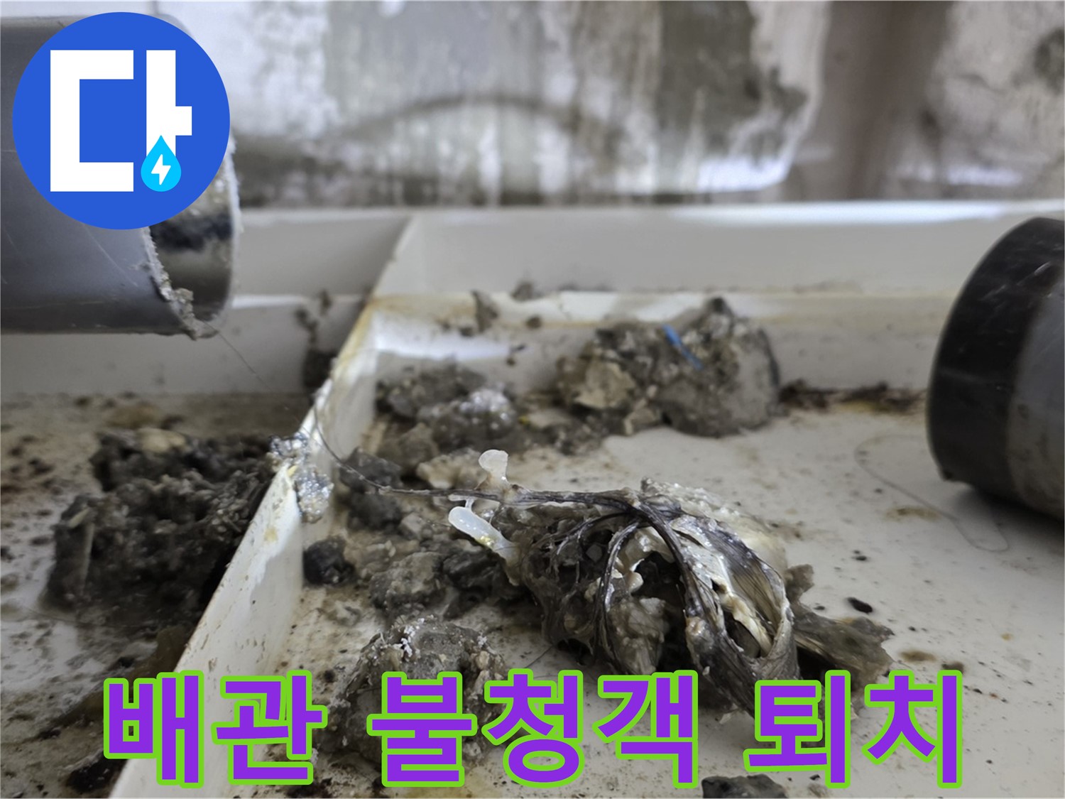 노원구 중계동 라이프청구신동아아파트 - 배관 속 '불청객' 퇴치, 누수 해결 작전 개시