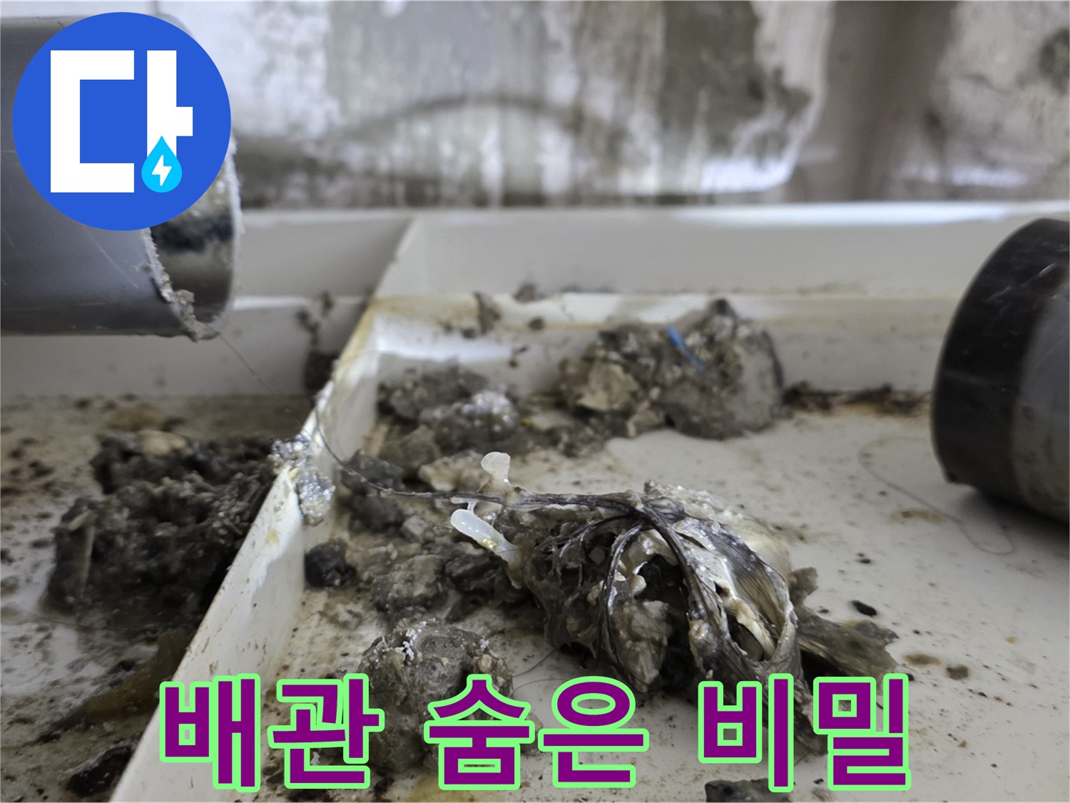노원구 중계동 라이프청구신동아아파트 - 배관 속 '숨겨진 비밀' 폭로, 누수 원인 공개