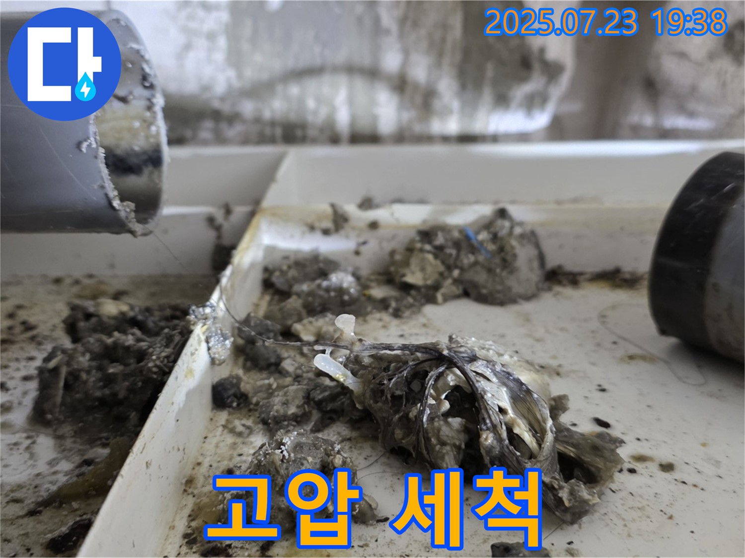중계동 라이프청구신동아 아파트 - 고압 세척으로 배수관 속 찌꺼기 완벽 청소